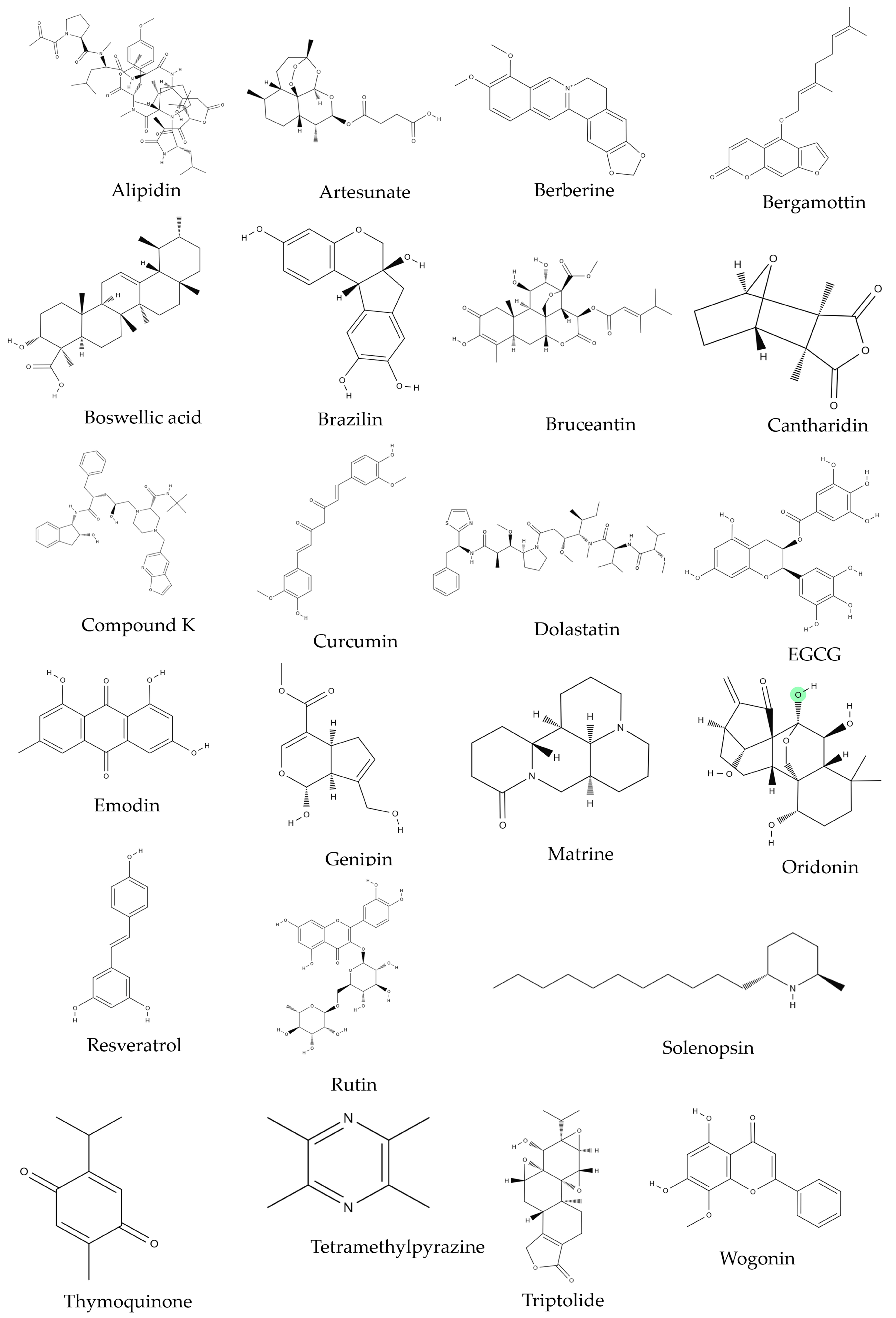 Ijms 20 02302 g005 Ijms 20 02302 g005