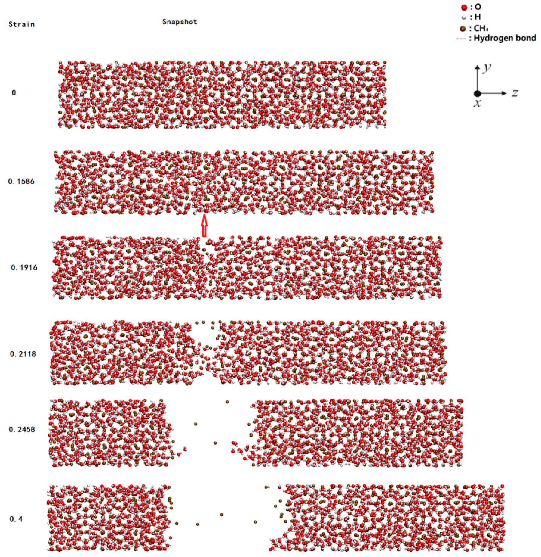 Ijms 20 02305 g001 550