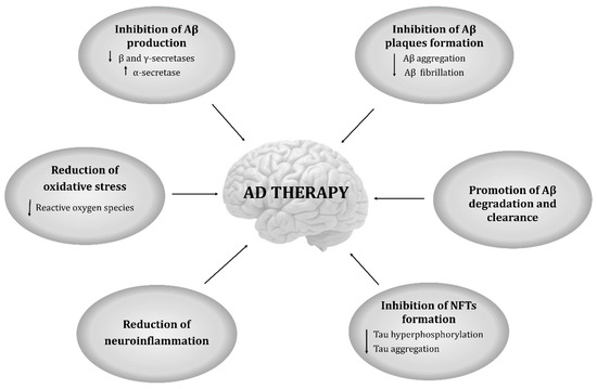 Natural Compounds for Alzheimer's Disease Therapy: A