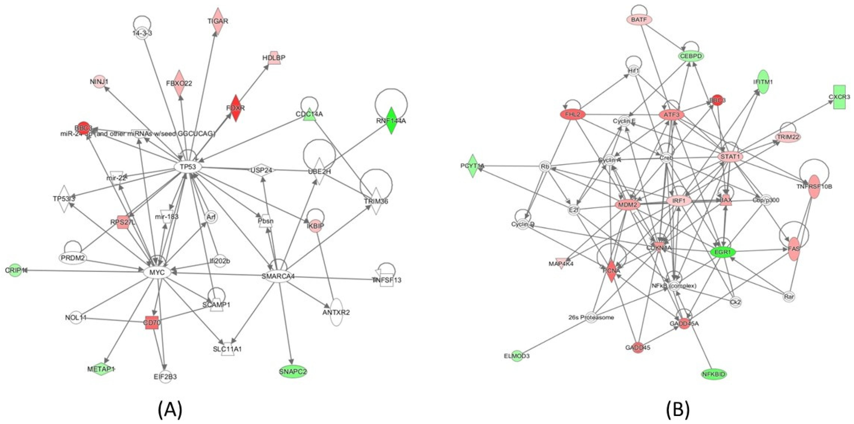 Ijms 20 02316 g004 Ijms 20 02316 g004