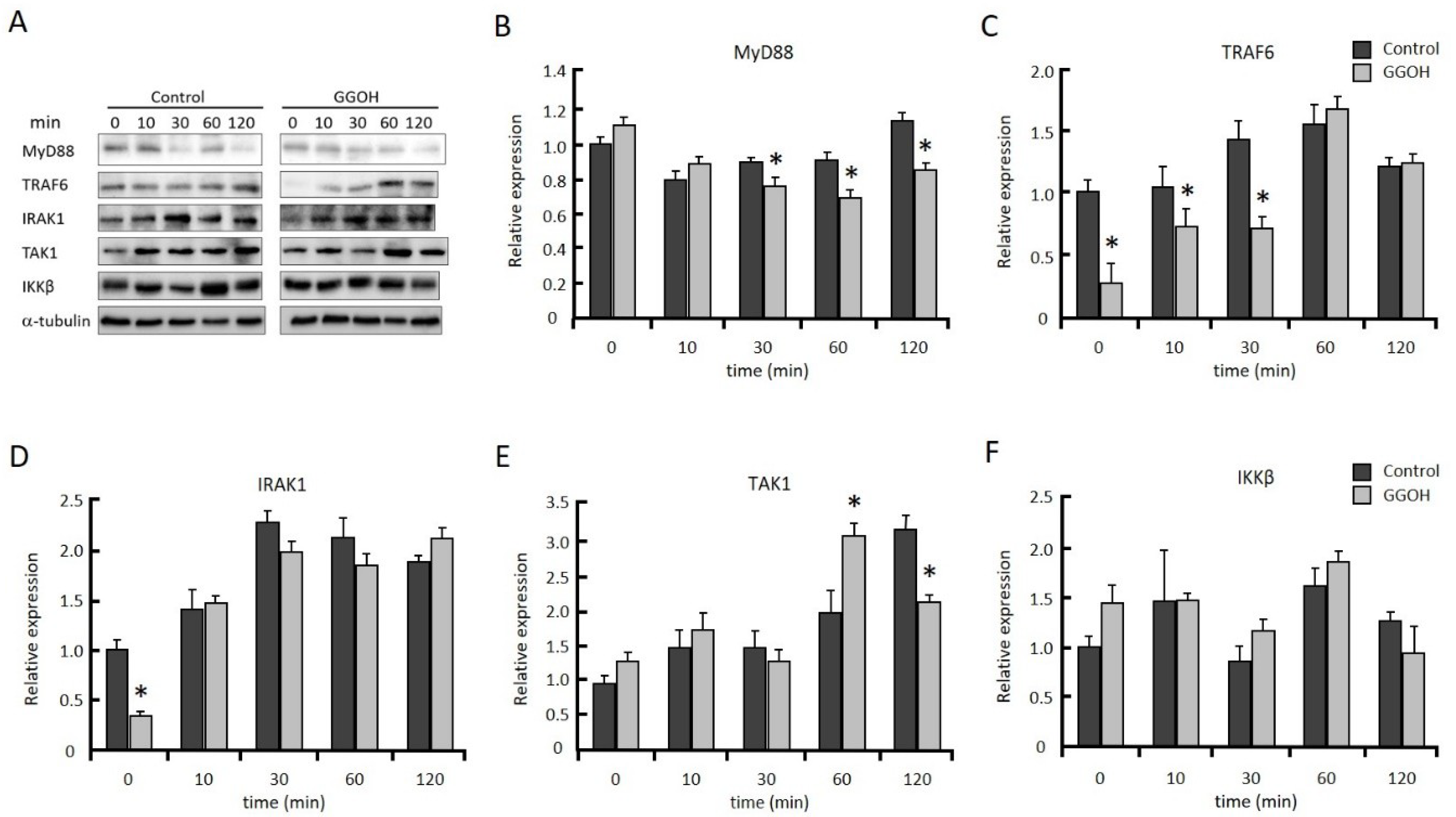 Ijms 20 02320 g003 Ijms 20 02320 g003