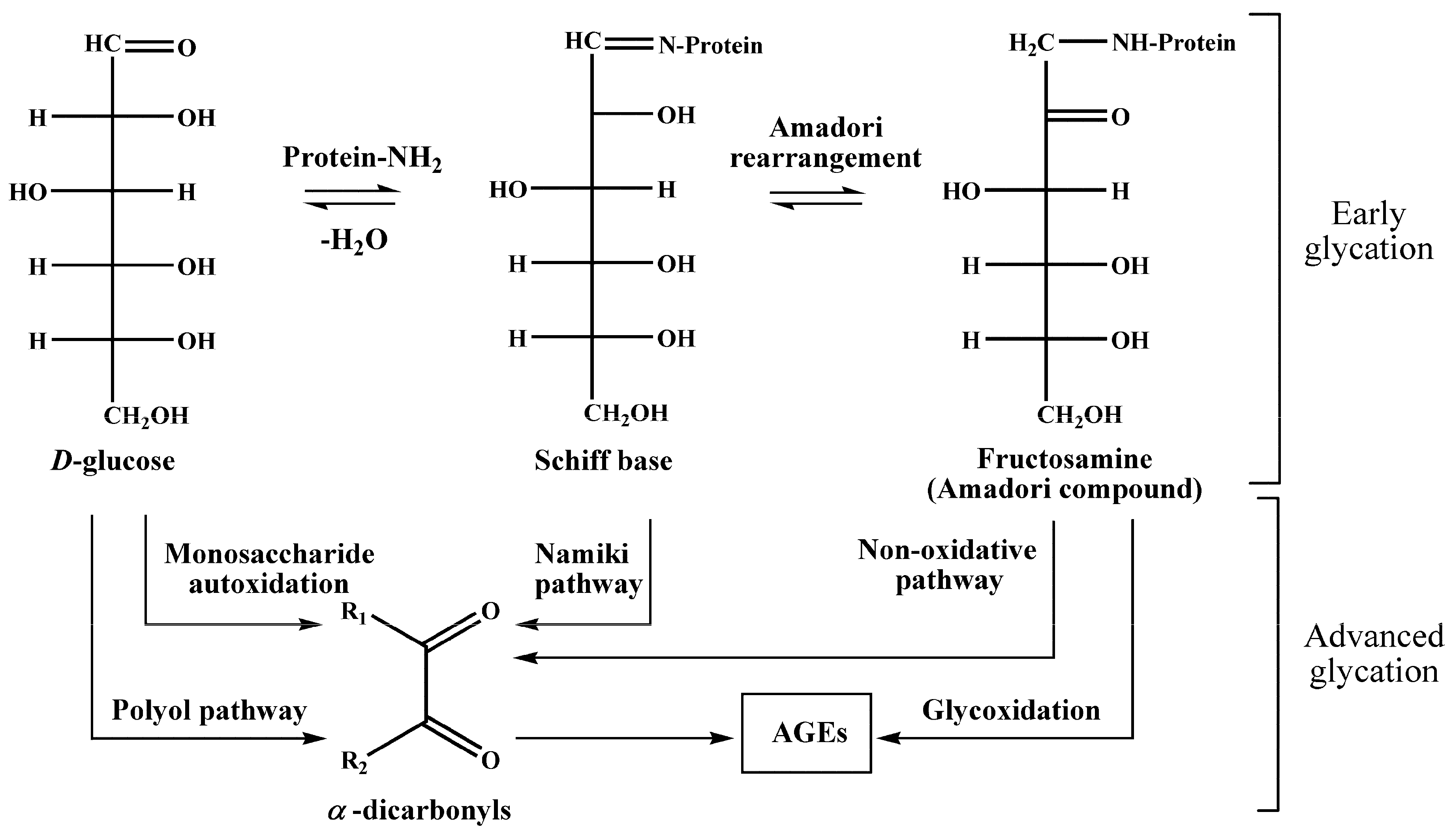 Ijms 20 02329 g001 Ijms 20 02329 g001