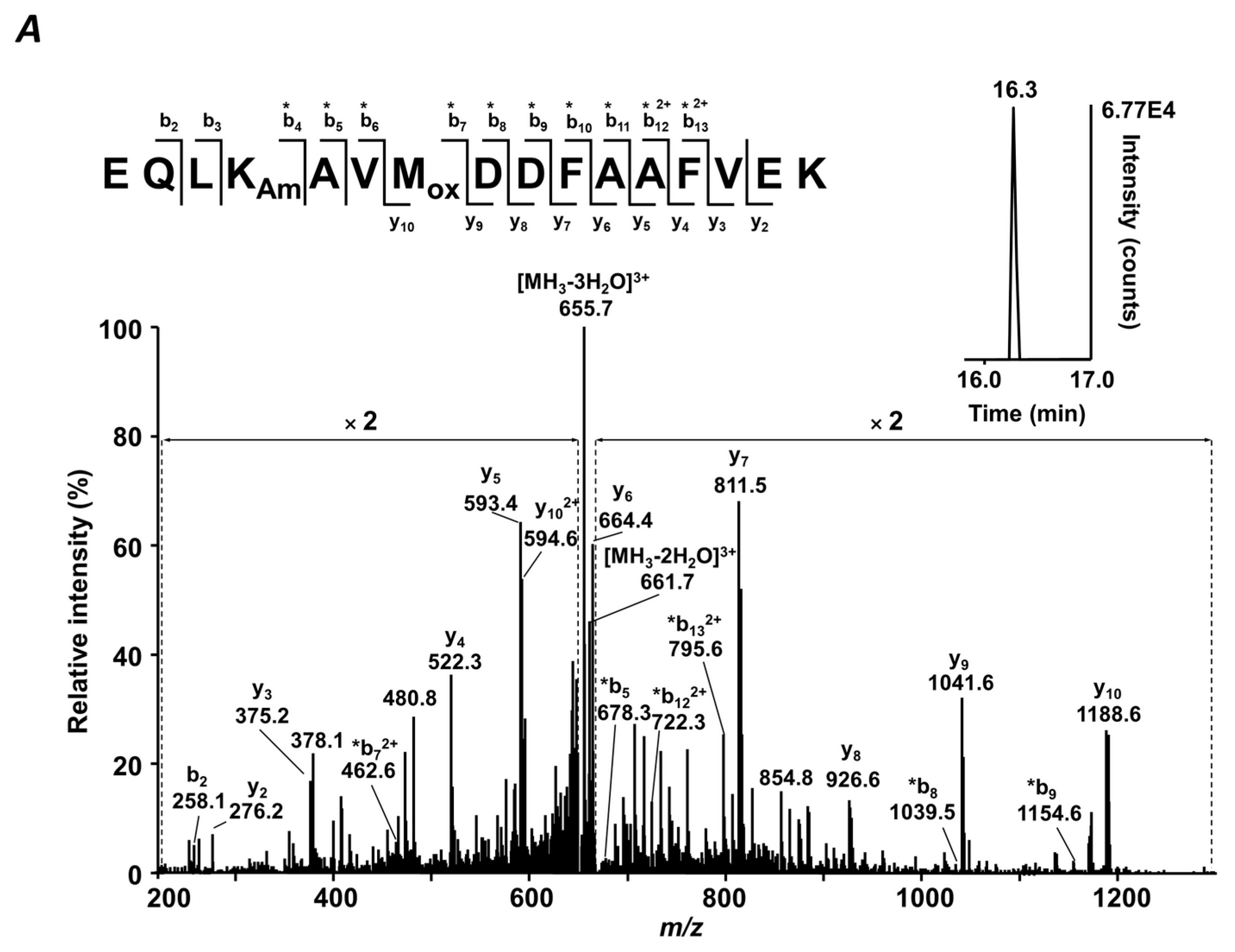 Ijms 20 02329 g003a Ijms 20 02329 g003a