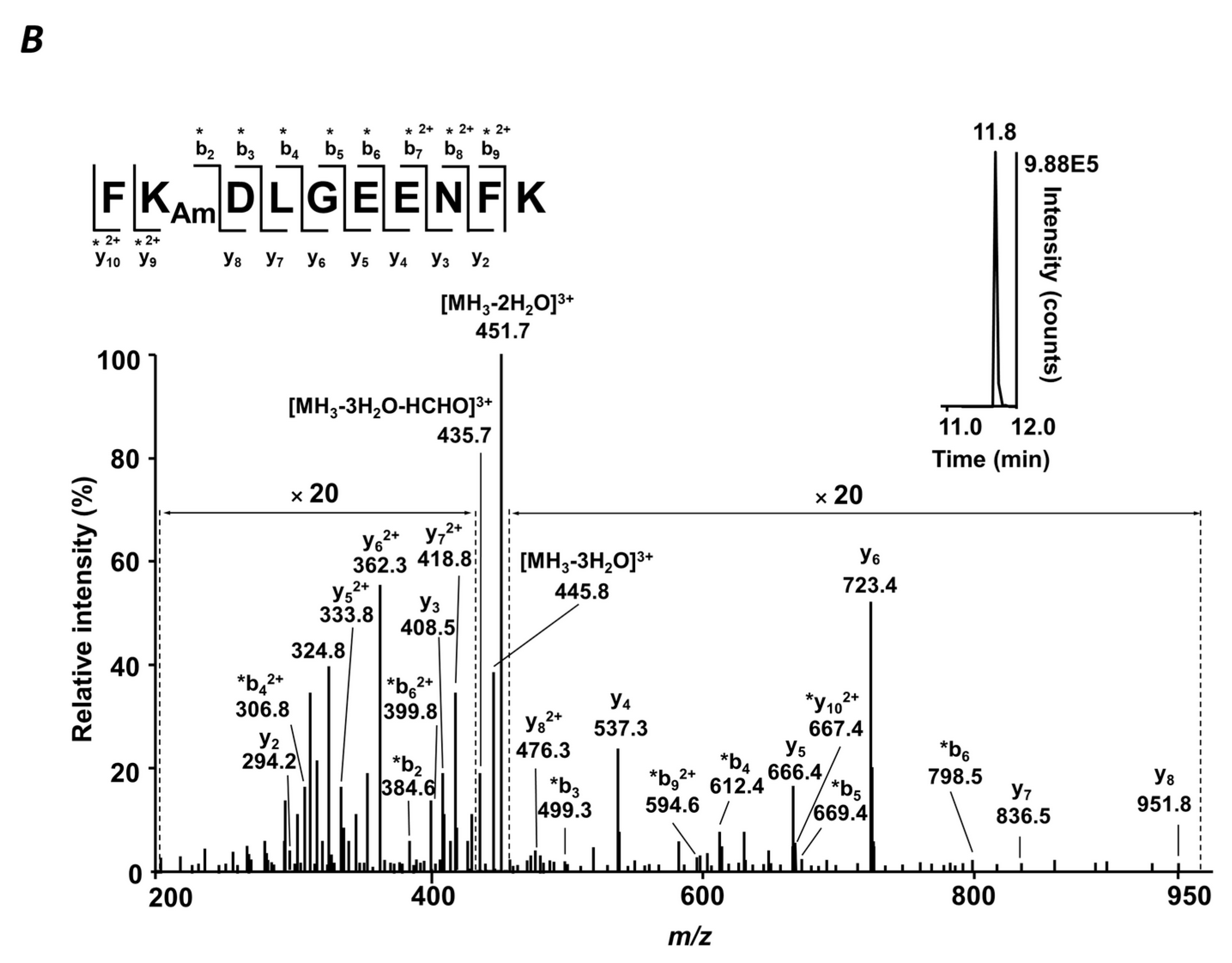Ijms 20 02329 g003b Ijms 20 02329 g003b