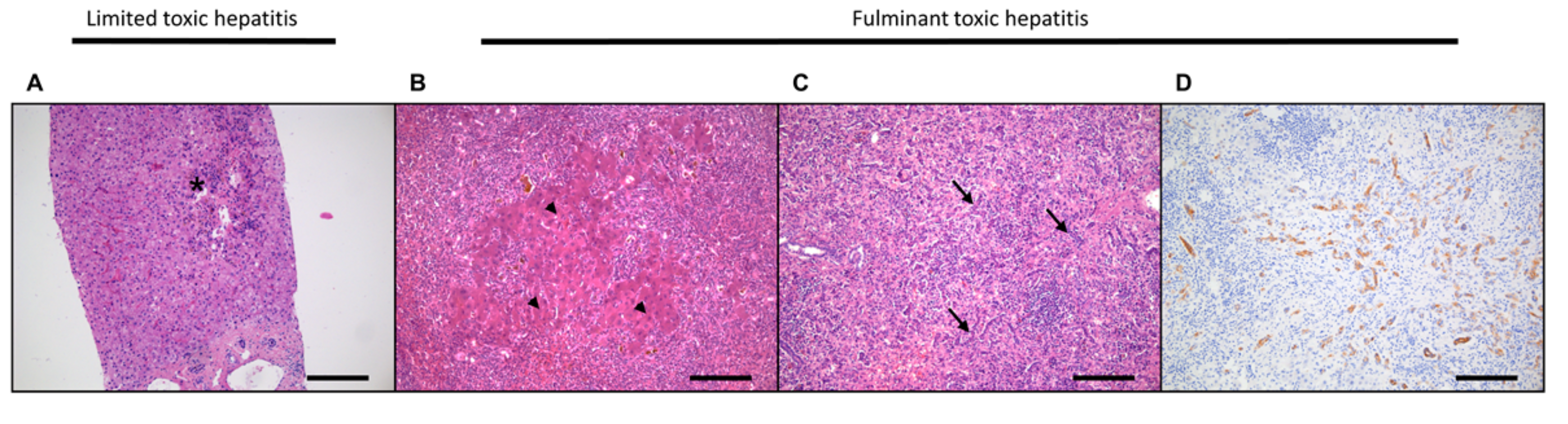 Ijms 20 02332 g002 Ijms 20 02332 g002