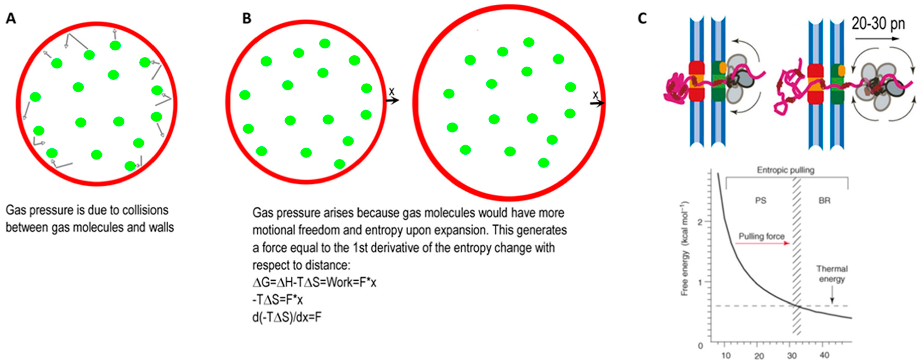 Ijms 20 02334 g002 Ijms 20 02334 g002