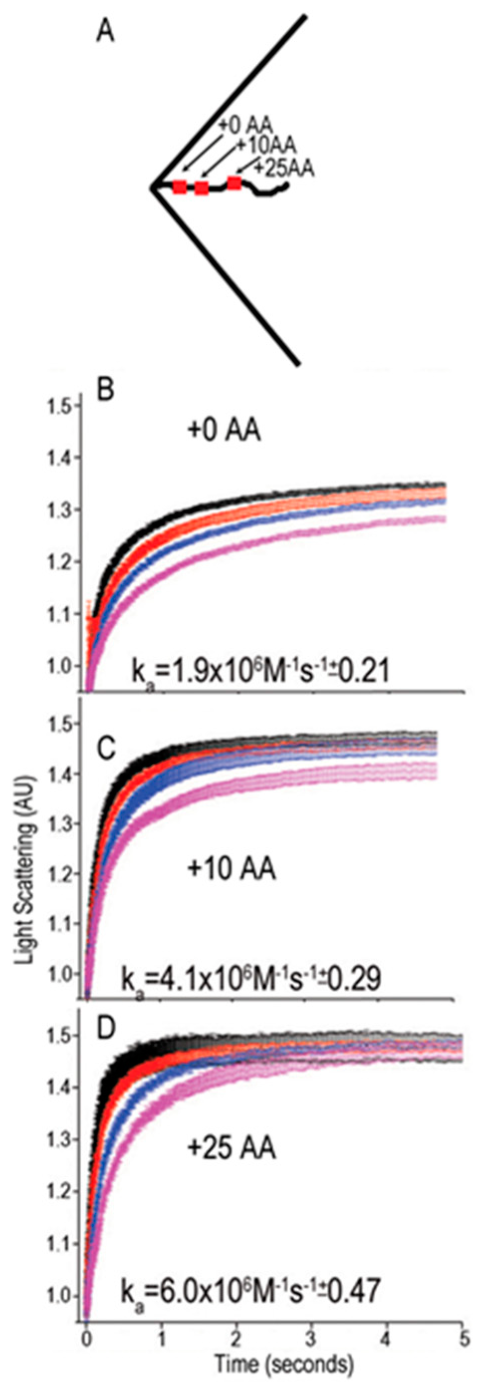 Ijms 20 02334 g005 Ijms 20 02334 g005