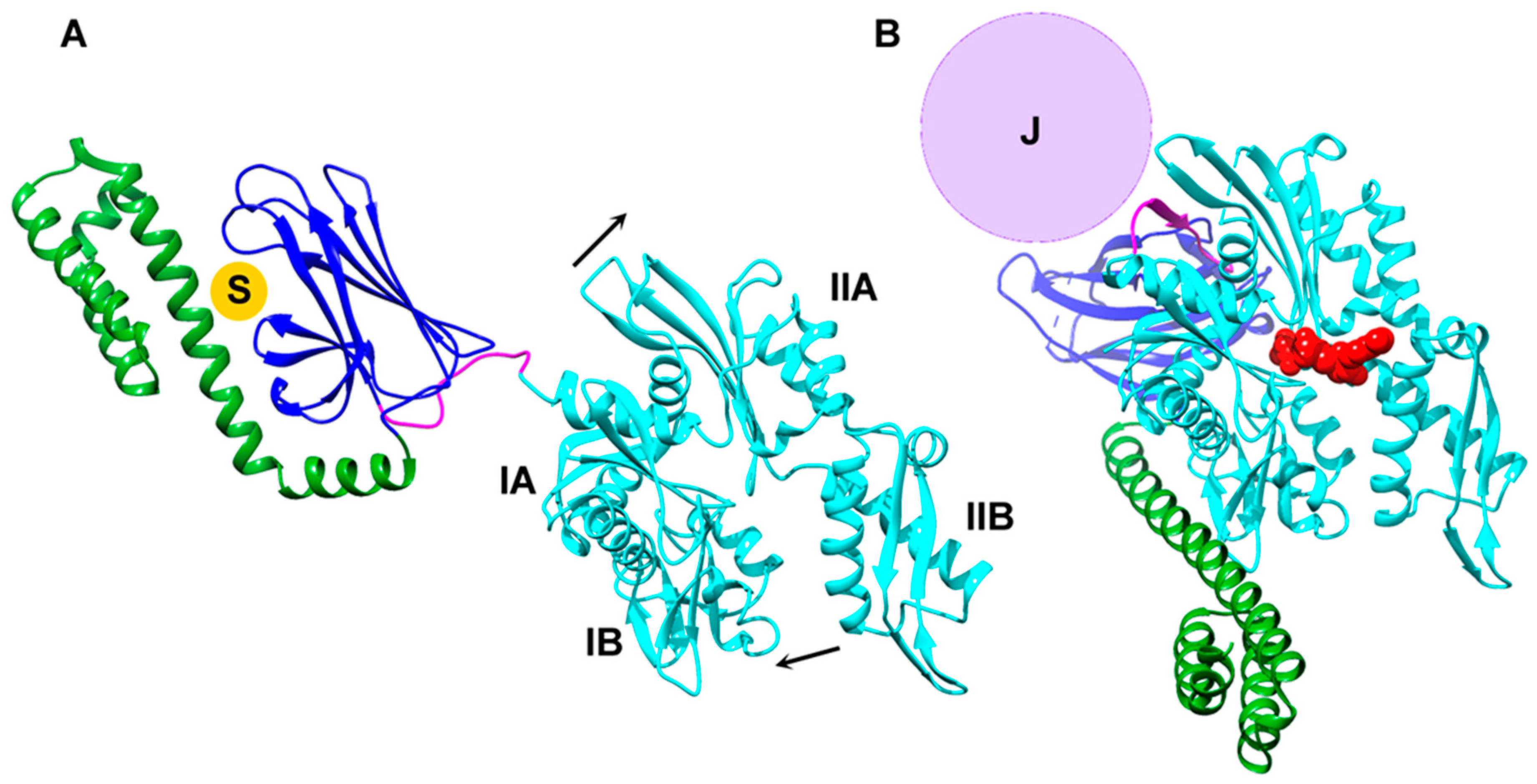 Ijms 20 02334 g007 Ijms 20 02334 g007