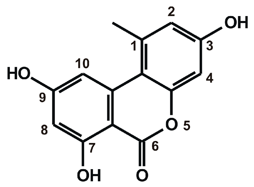 Ijms 20 02352 g001 Ijms 20 02352 g001