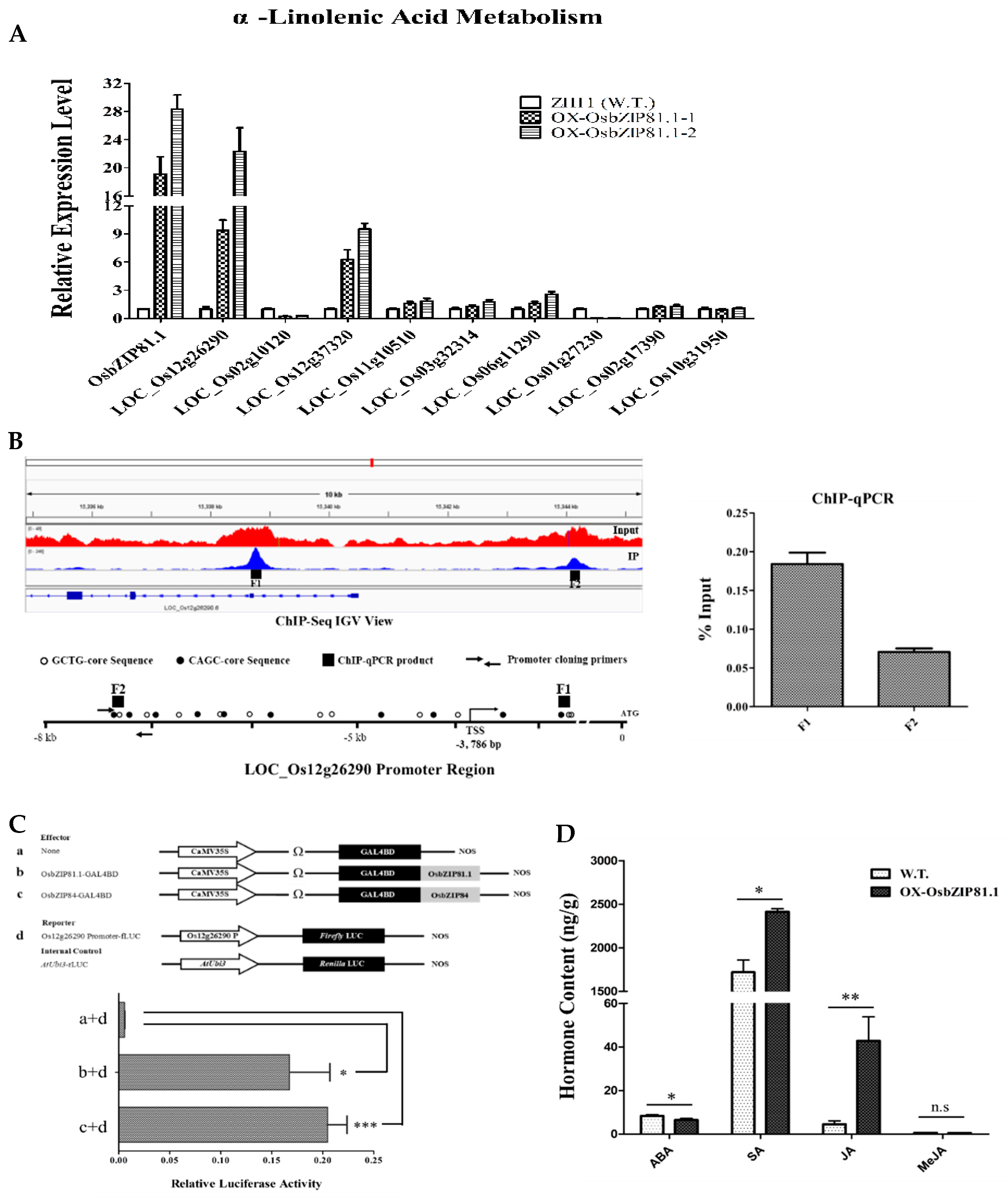 Ijms 20 02360 g010 Ijms 20 02360 g010