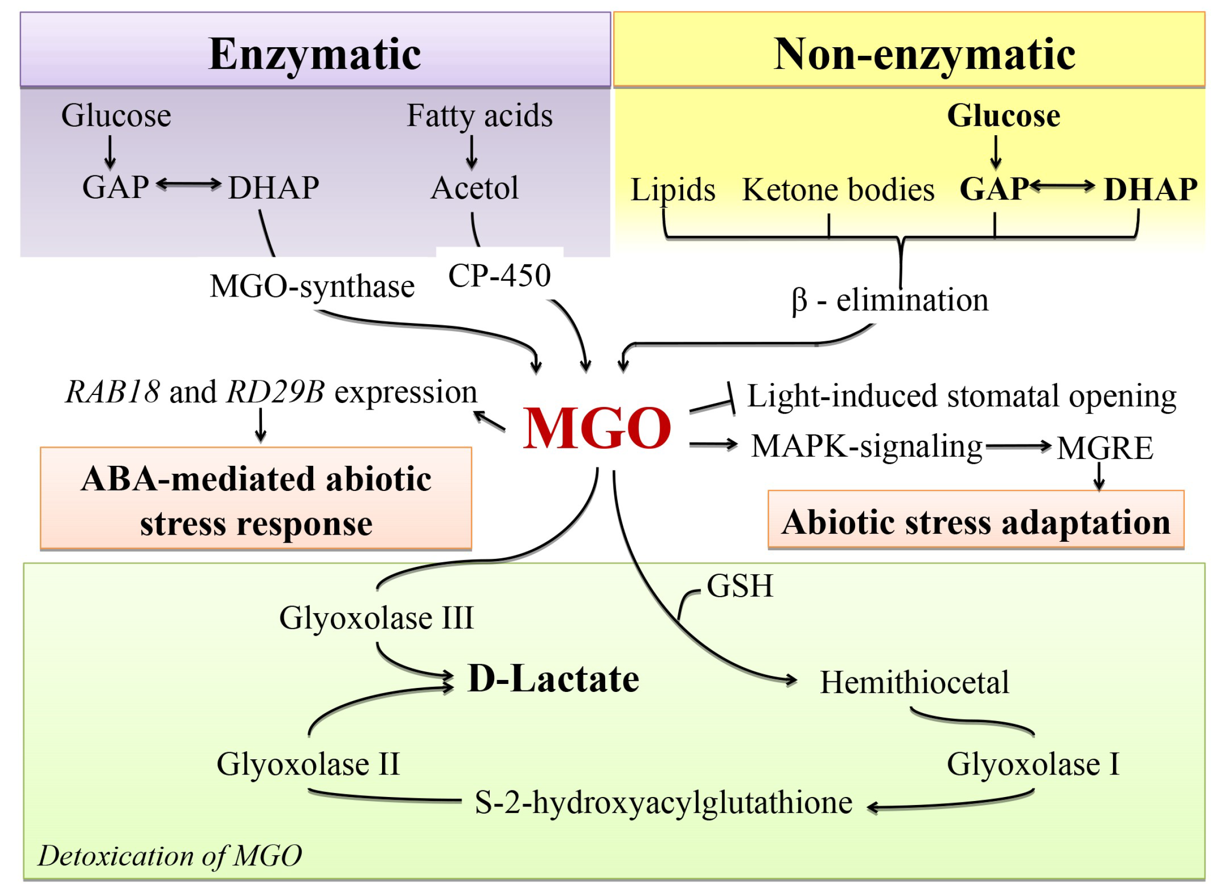 Ijms 20 02366 g003