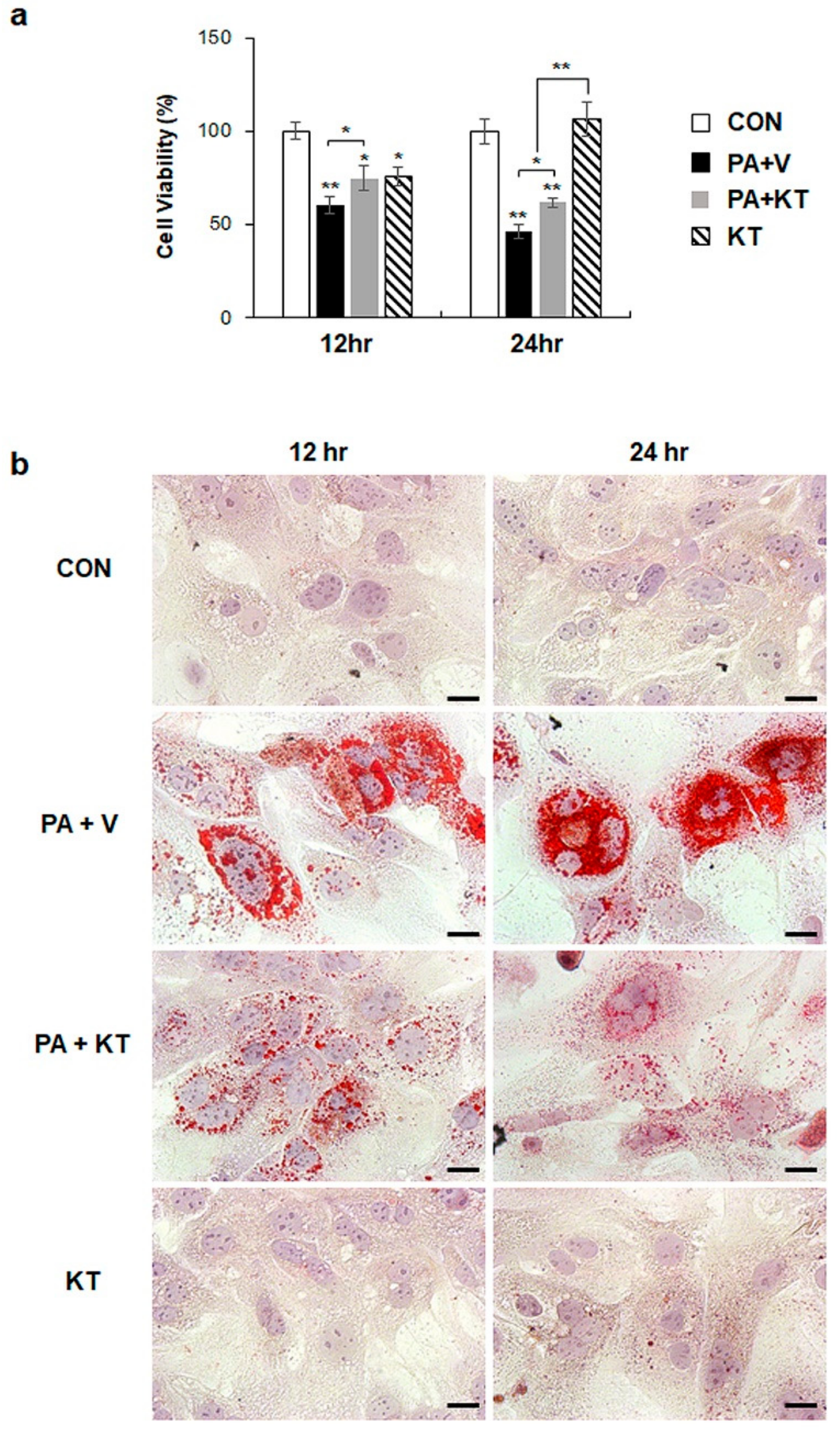 Ijms 20 02369 g007