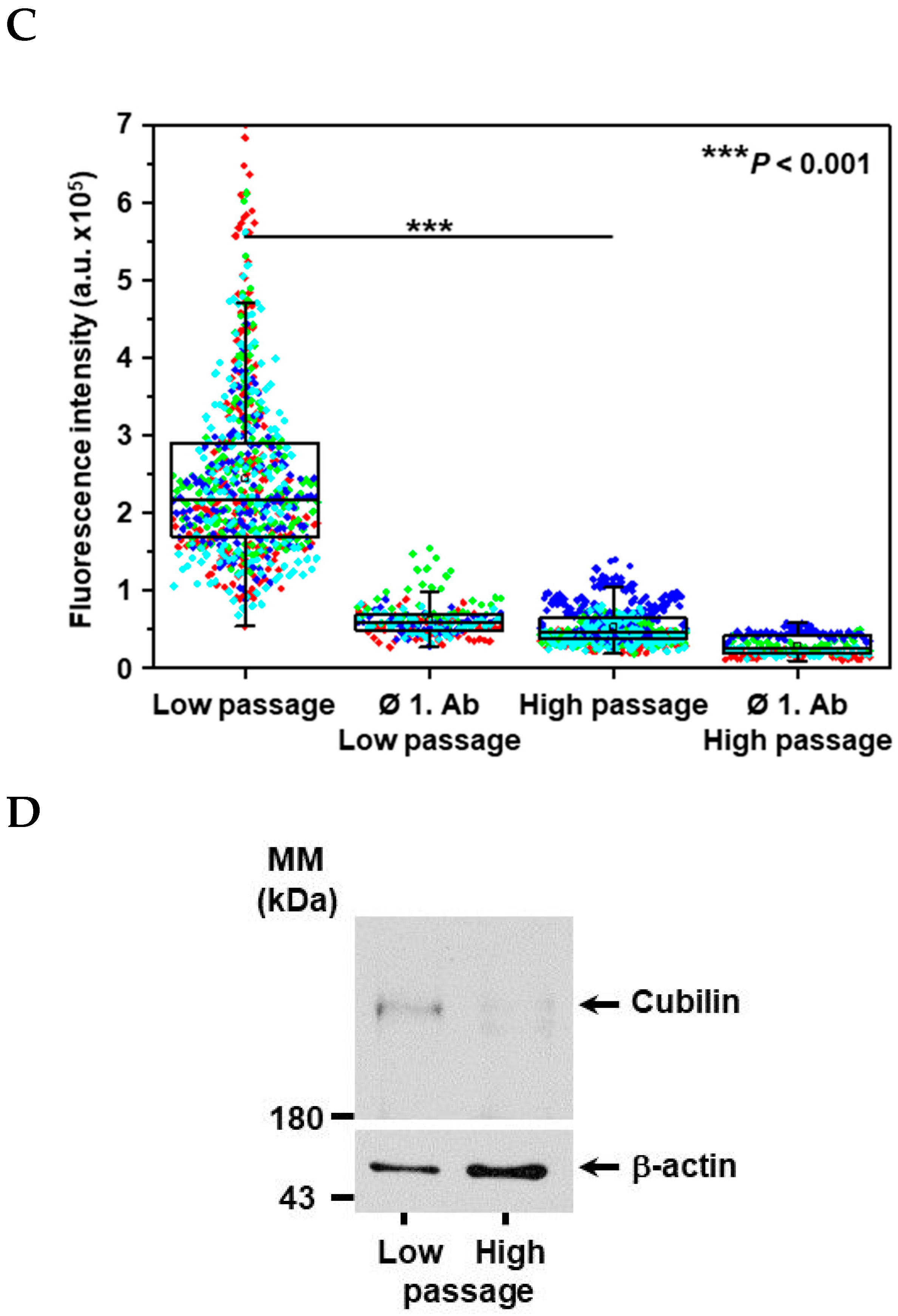 Ijms 20 02379 g001b Ijms 20 02379 g001b