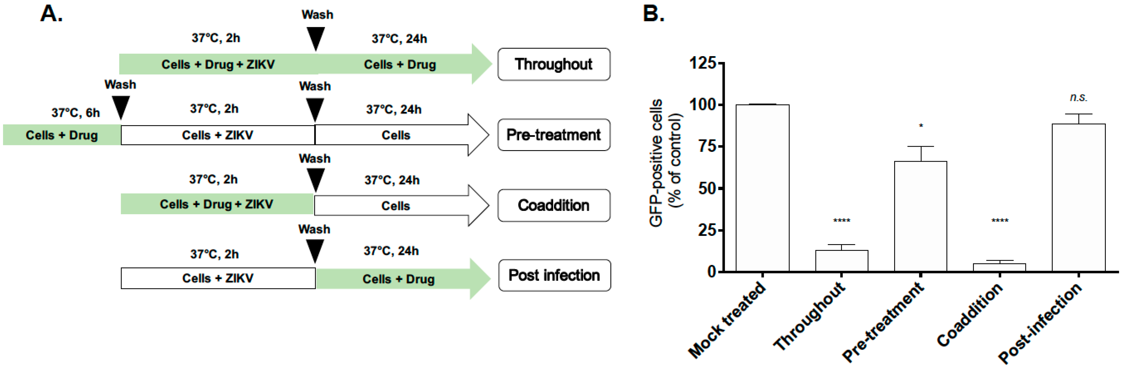 Ijms 20 02382 g004 Ijms 20 02382 g004