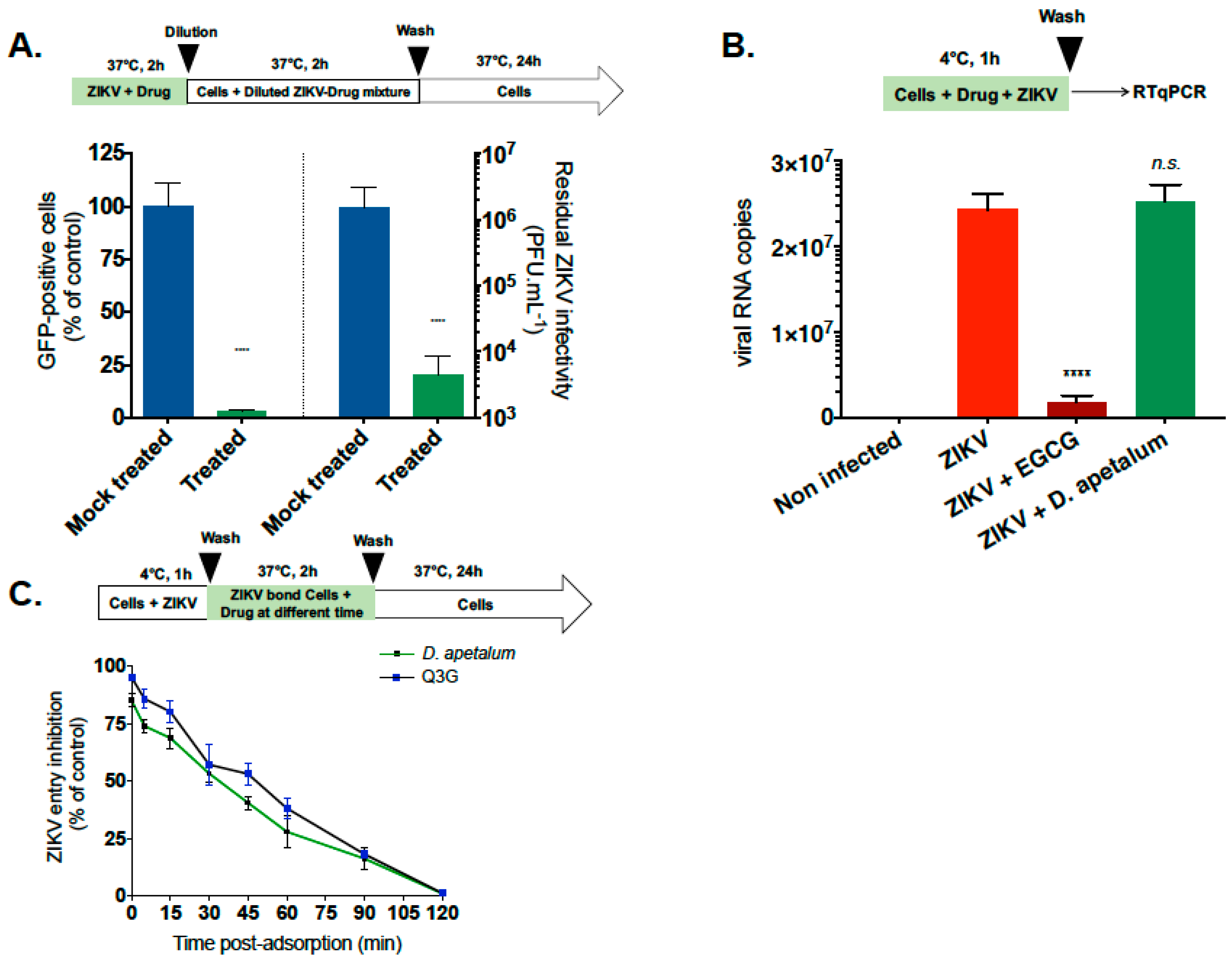 Ijms 20 02382 g005 Ijms 20 02382 g005