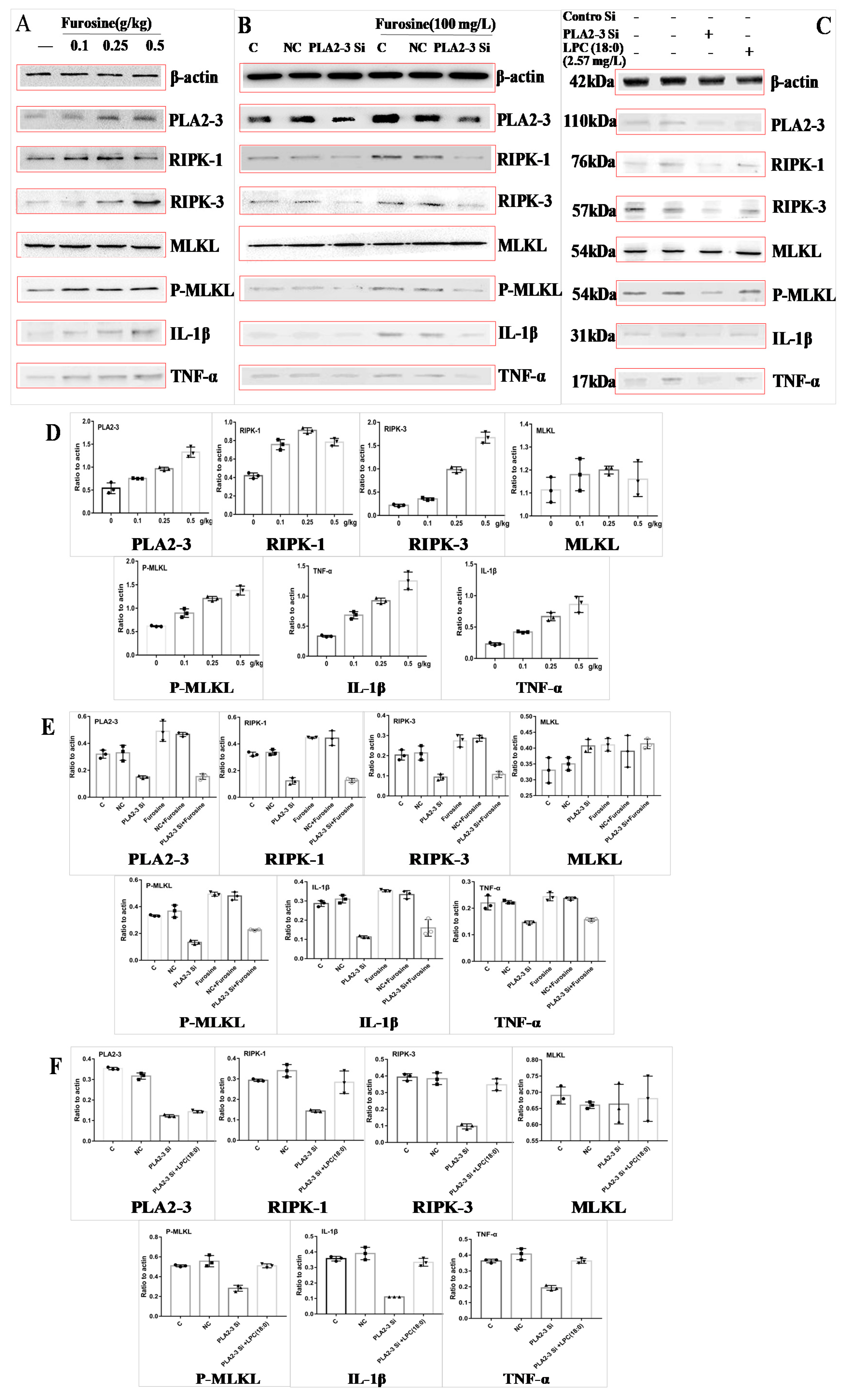 Ijms 20 02388 g003 Ijms 20 02388 g003