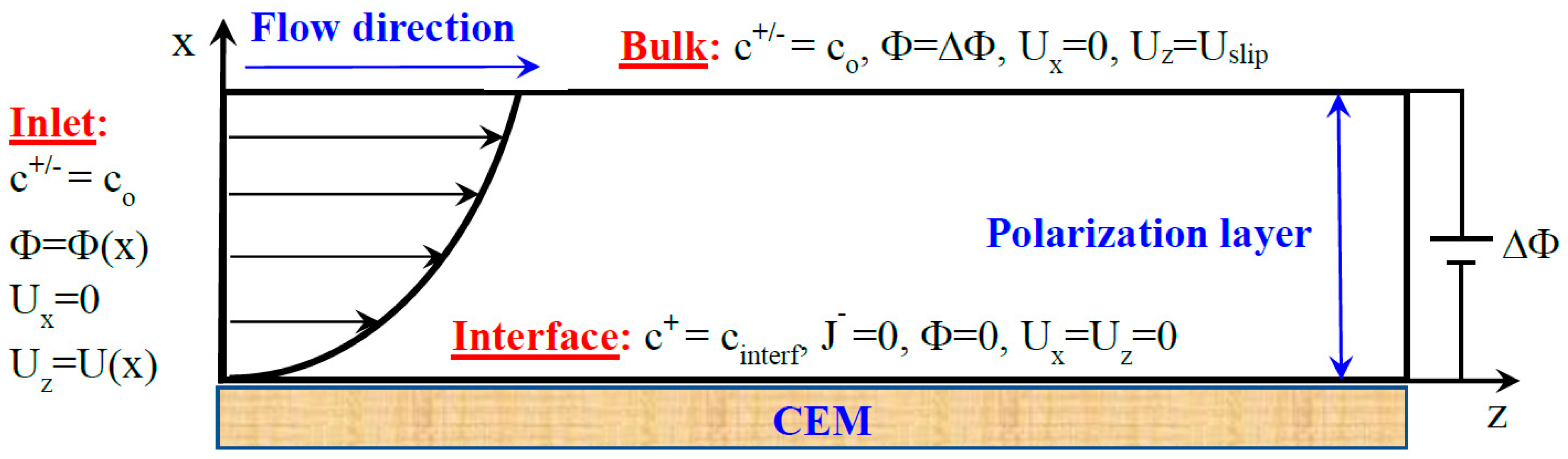 Ijms 20 02393 g002 Ijms 20 02393 g002
