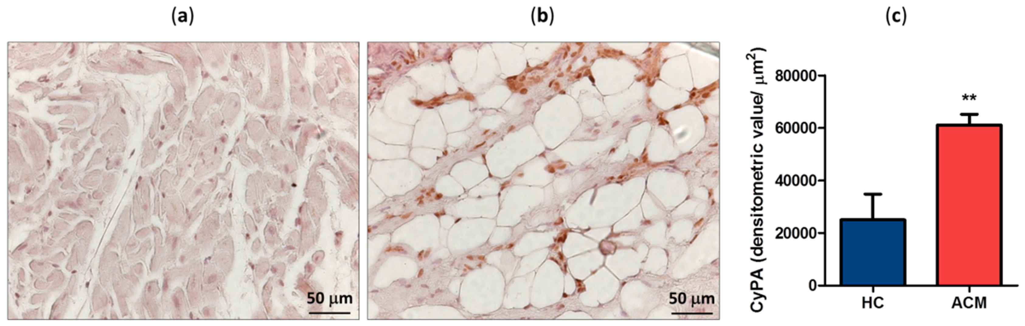 Ijms 20 02403 g001 Ijms 20 02403 g001