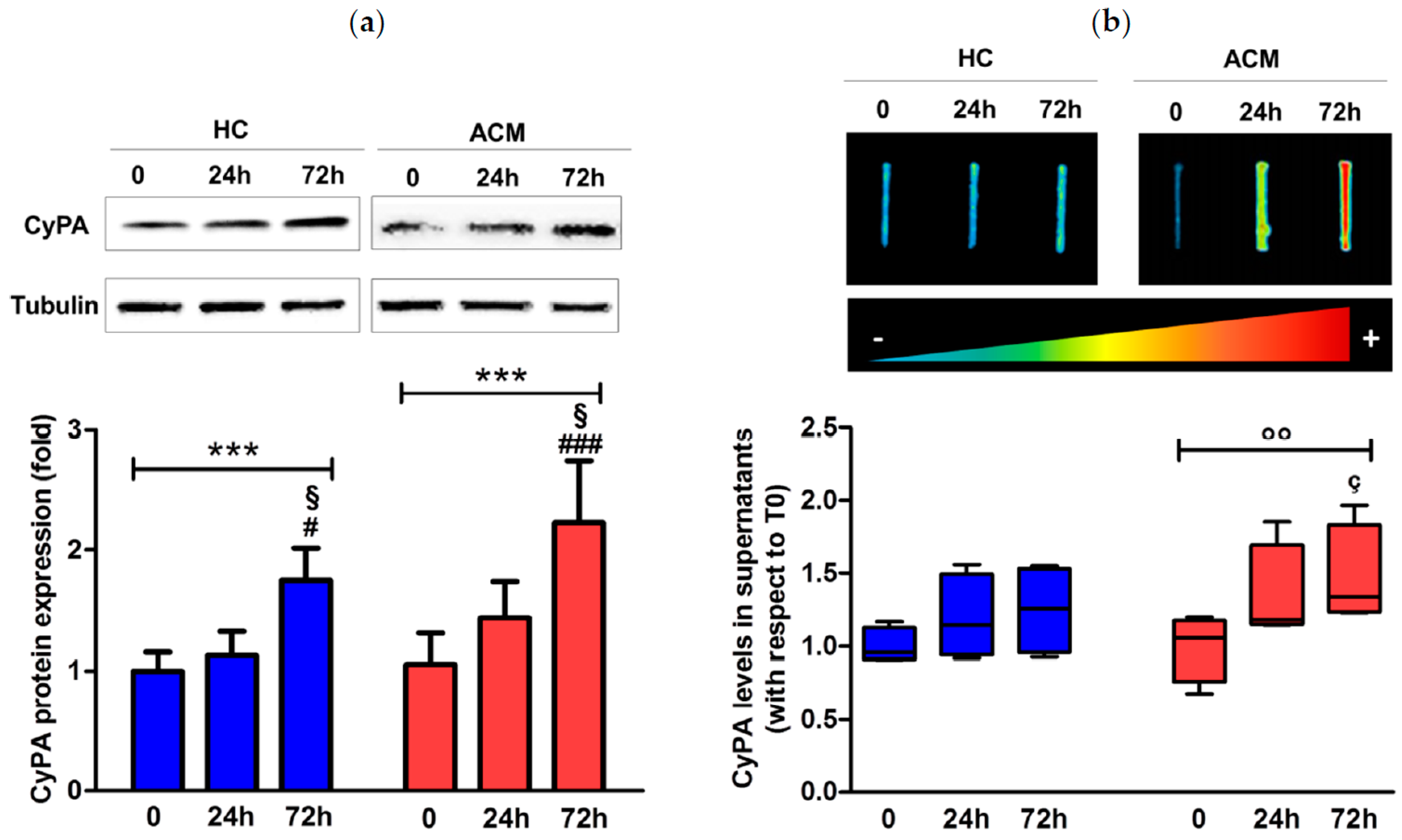 Ijms 20 02403 g005 Ijms 20 02403 g005