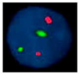 Ijms 20 02406 i005 Ijms 20 02406 i005