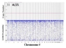 Ijms 20 02406 i007 Ijms 20 02406 i007