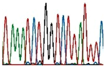 Ijms 20 02406 i010 Ijms 20 02406 i010