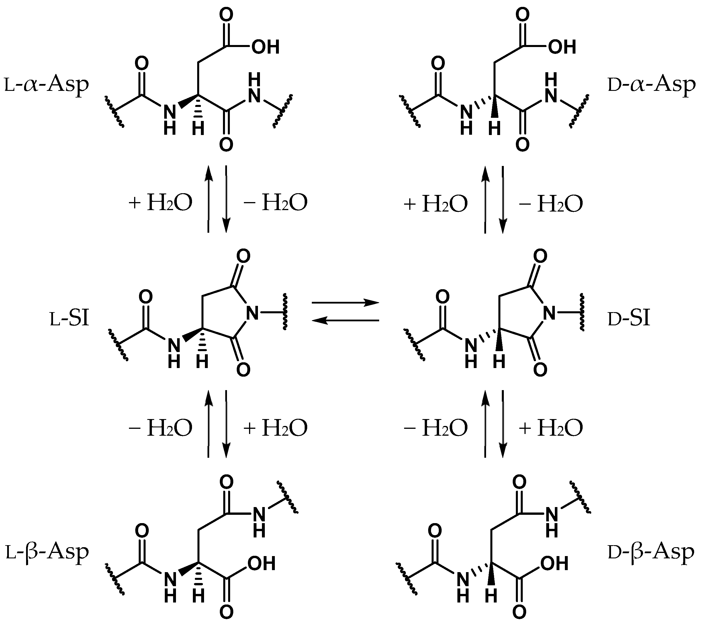 Ijms 20 02410 sch001