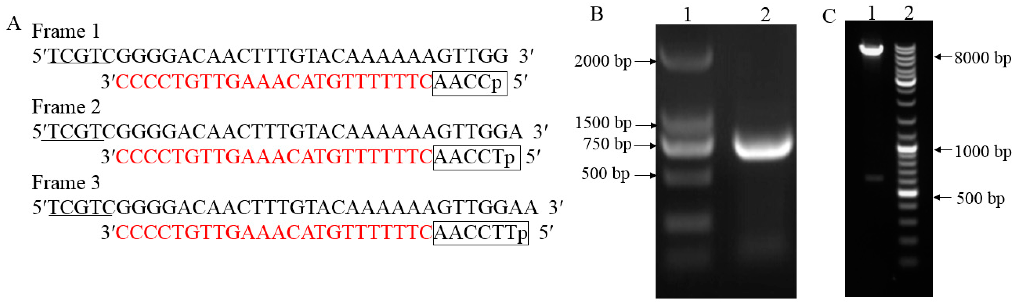 Ijms 20 02414 g001