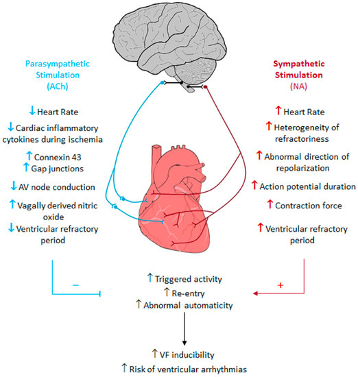 New Approaches in the Management of Sudden Cardiac Death in New Approaches in the Management of Sudden Cardiac Death in