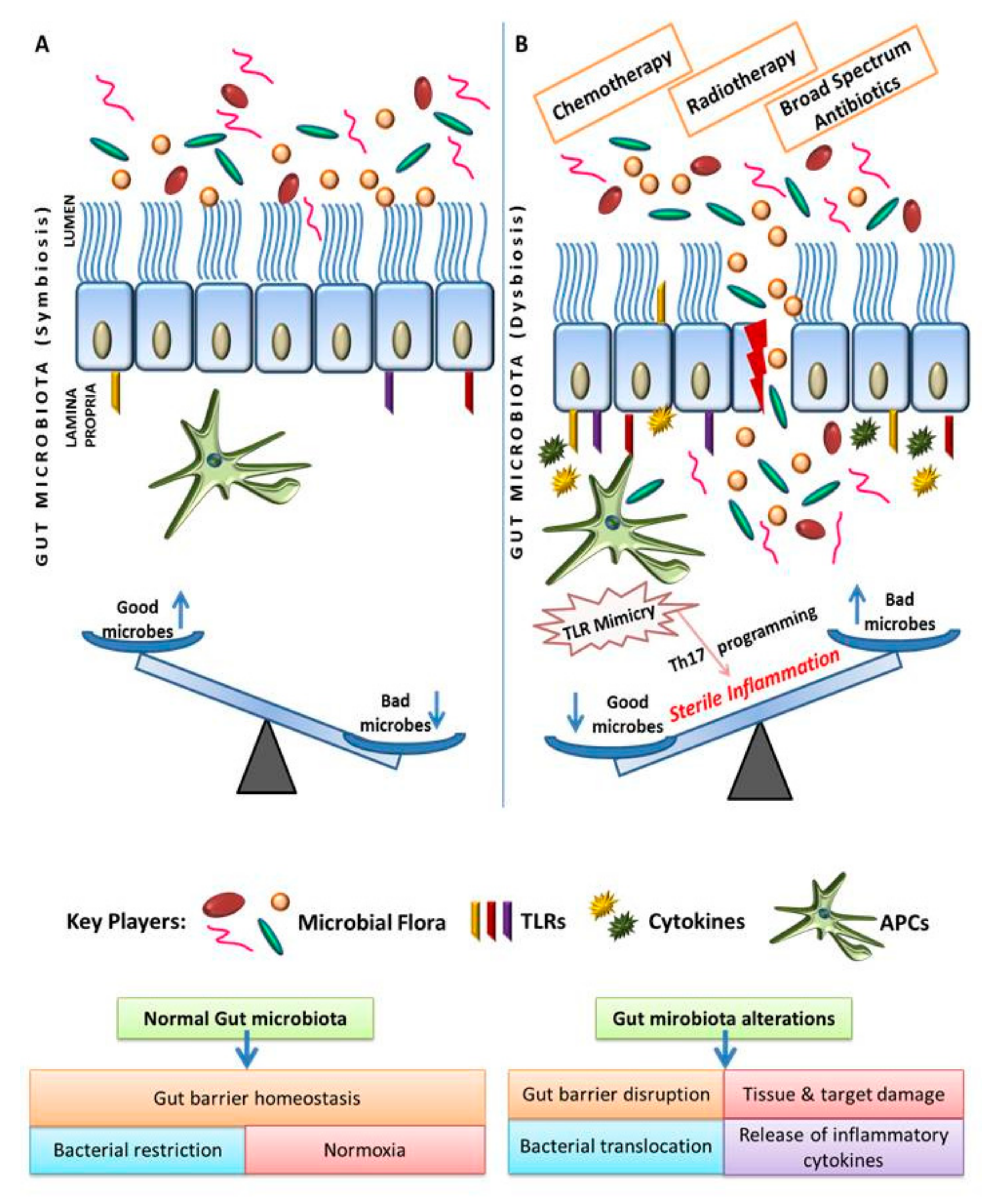 férgek és dysbiosis paraziták bolygója