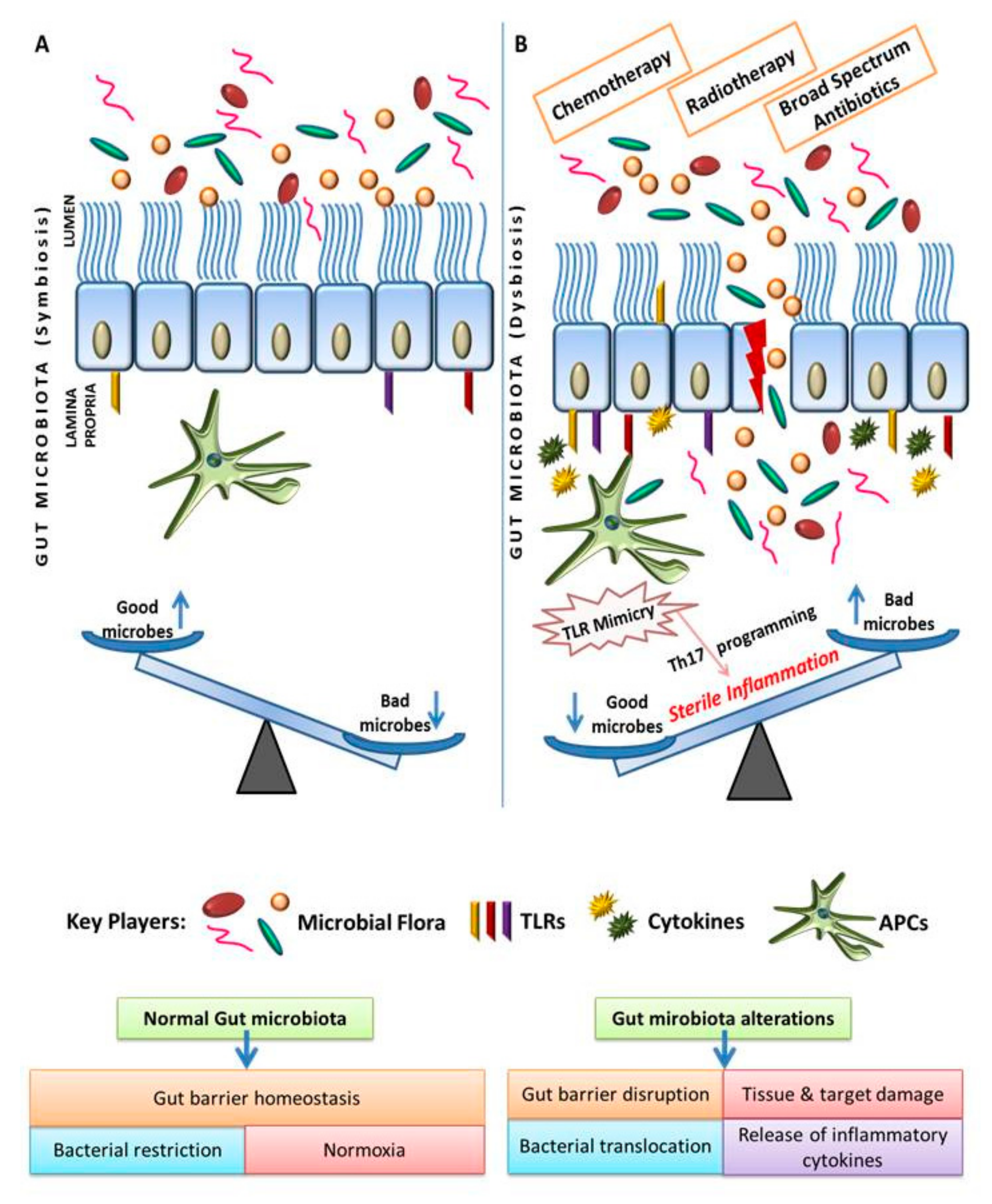 dysbiosis control)