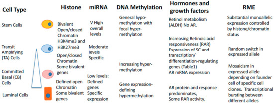 IJMS | Free Full-Text | Epigenetic Control of Gene Expression in the ...