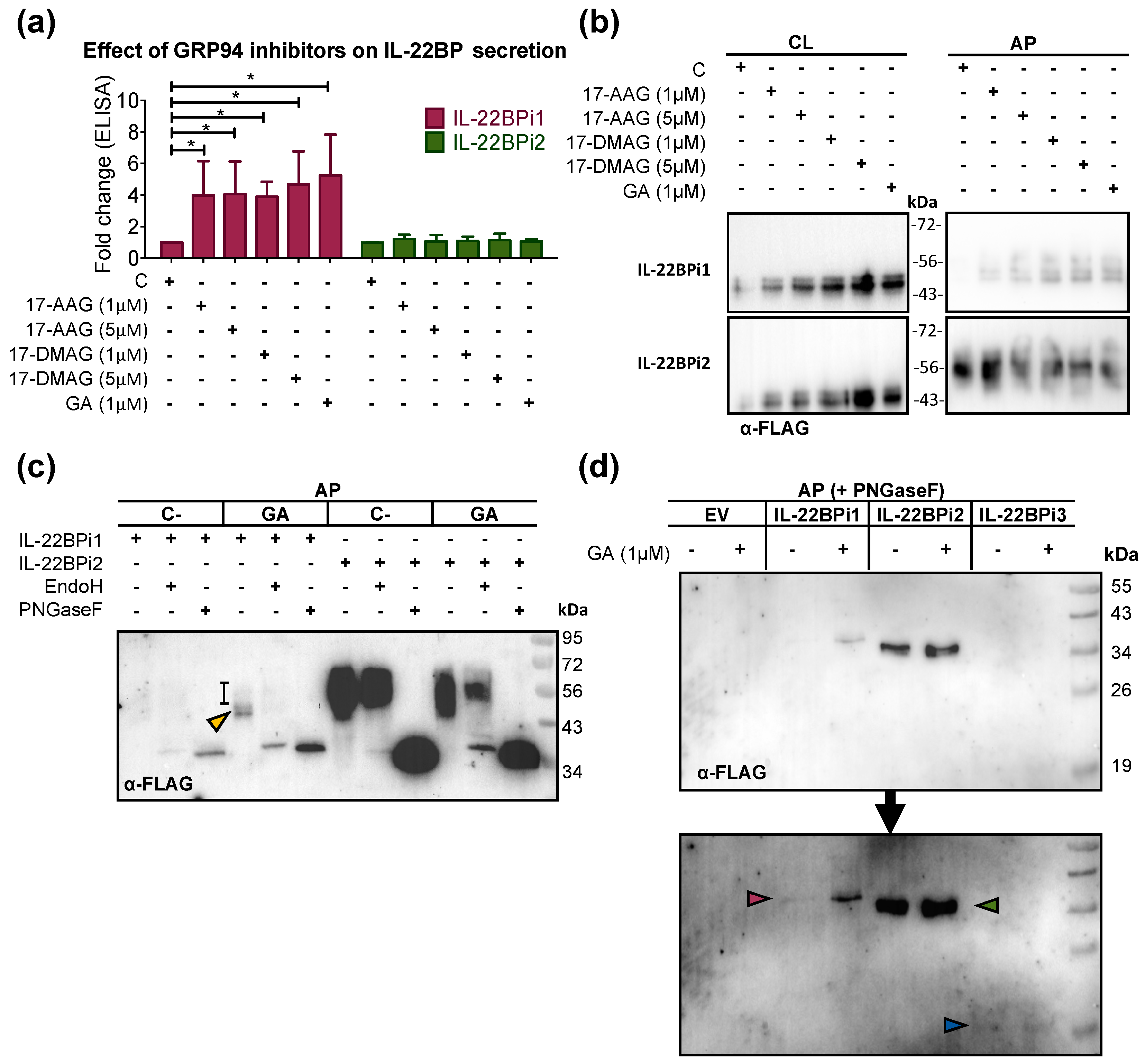 Ijms 20 02440 g002 Ijms 20 02440 g002