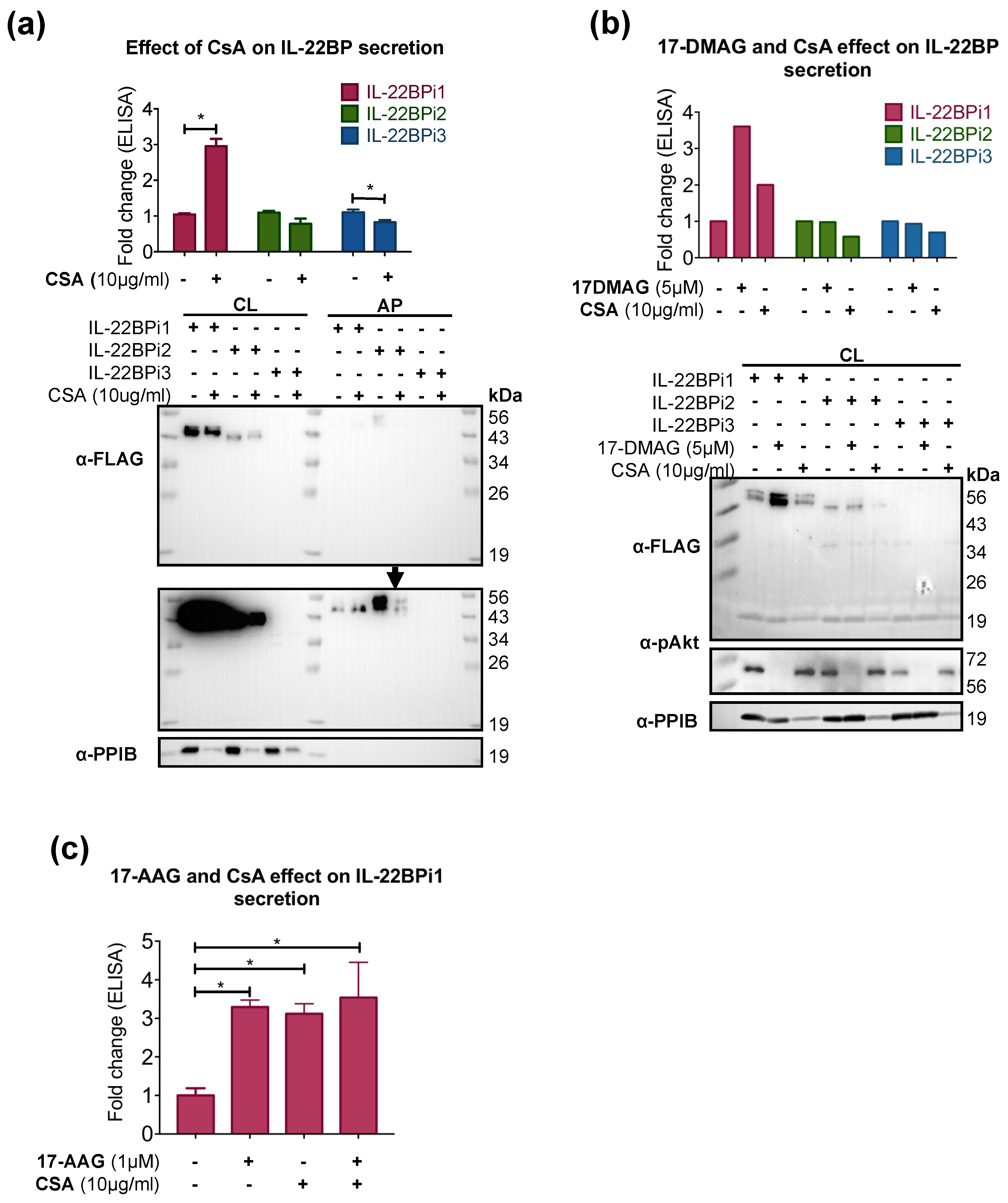 Ijms 20 02440 g003 Ijms 20 02440 g003