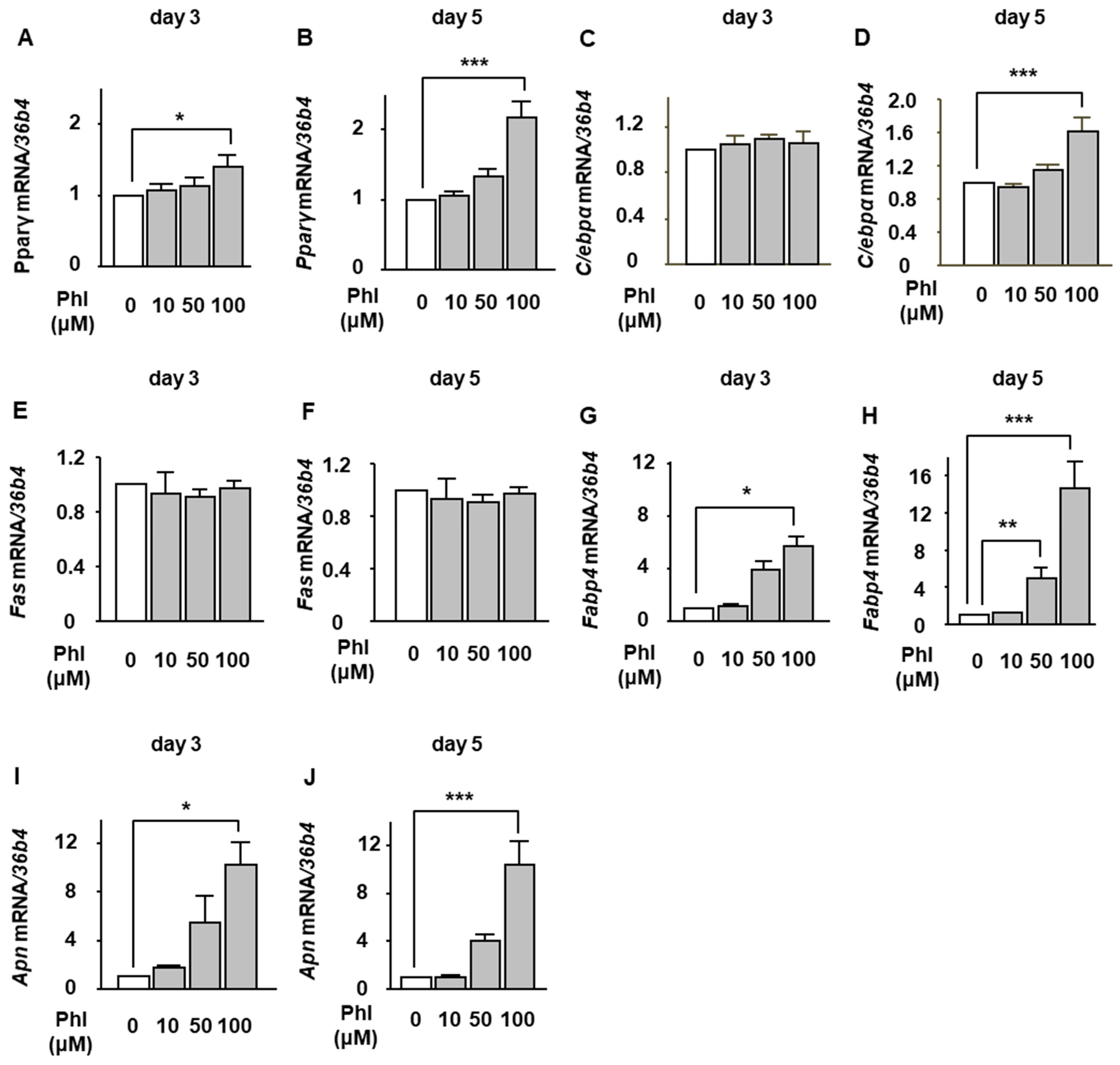 Ijms 20 02481 g002 Ijms 20 02481 g002