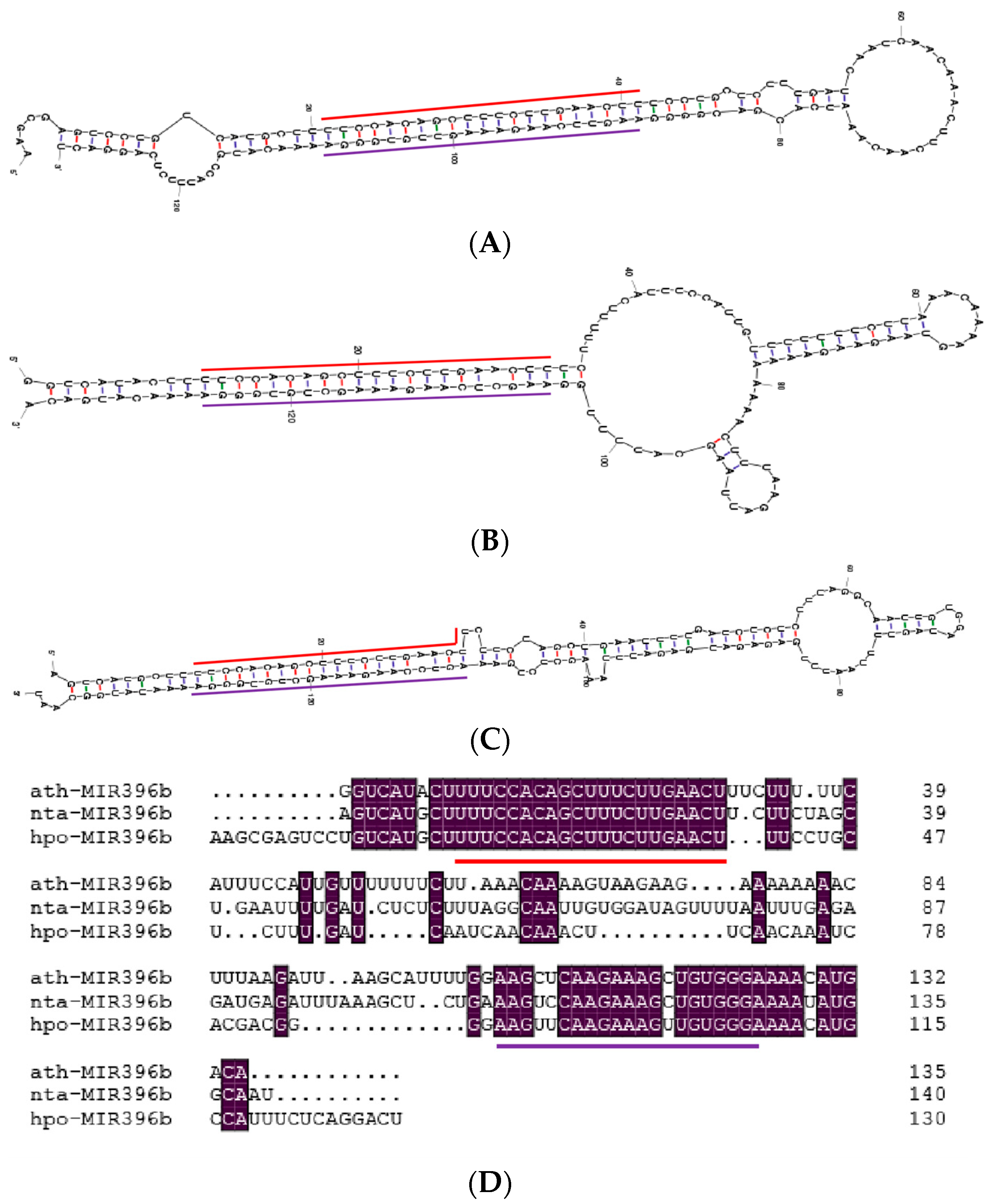 Ijms 20 02501 g002 Ijms 20 02501 g002
