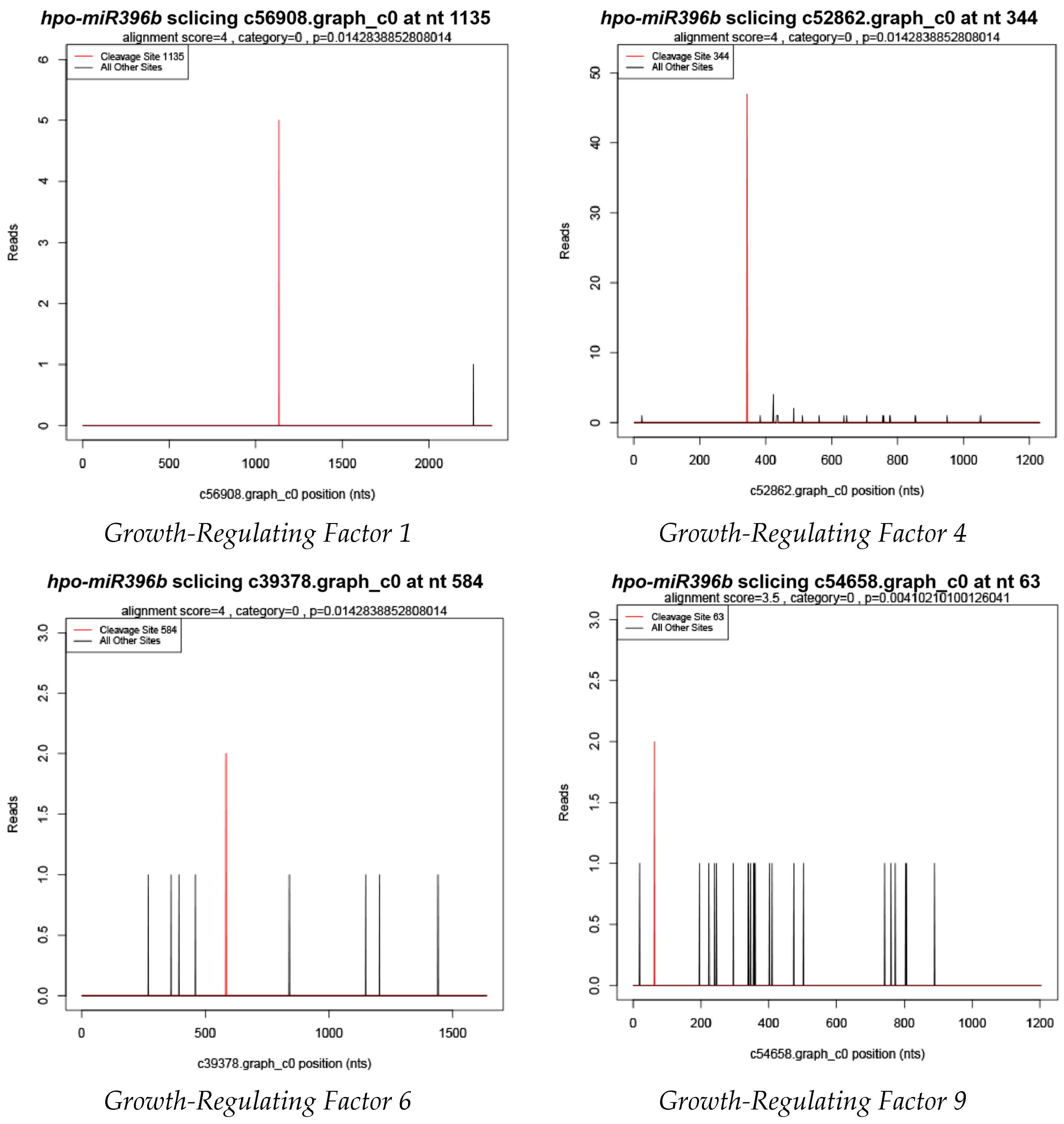 Ijms 20 02501 g005 Ijms 20 02501 g005