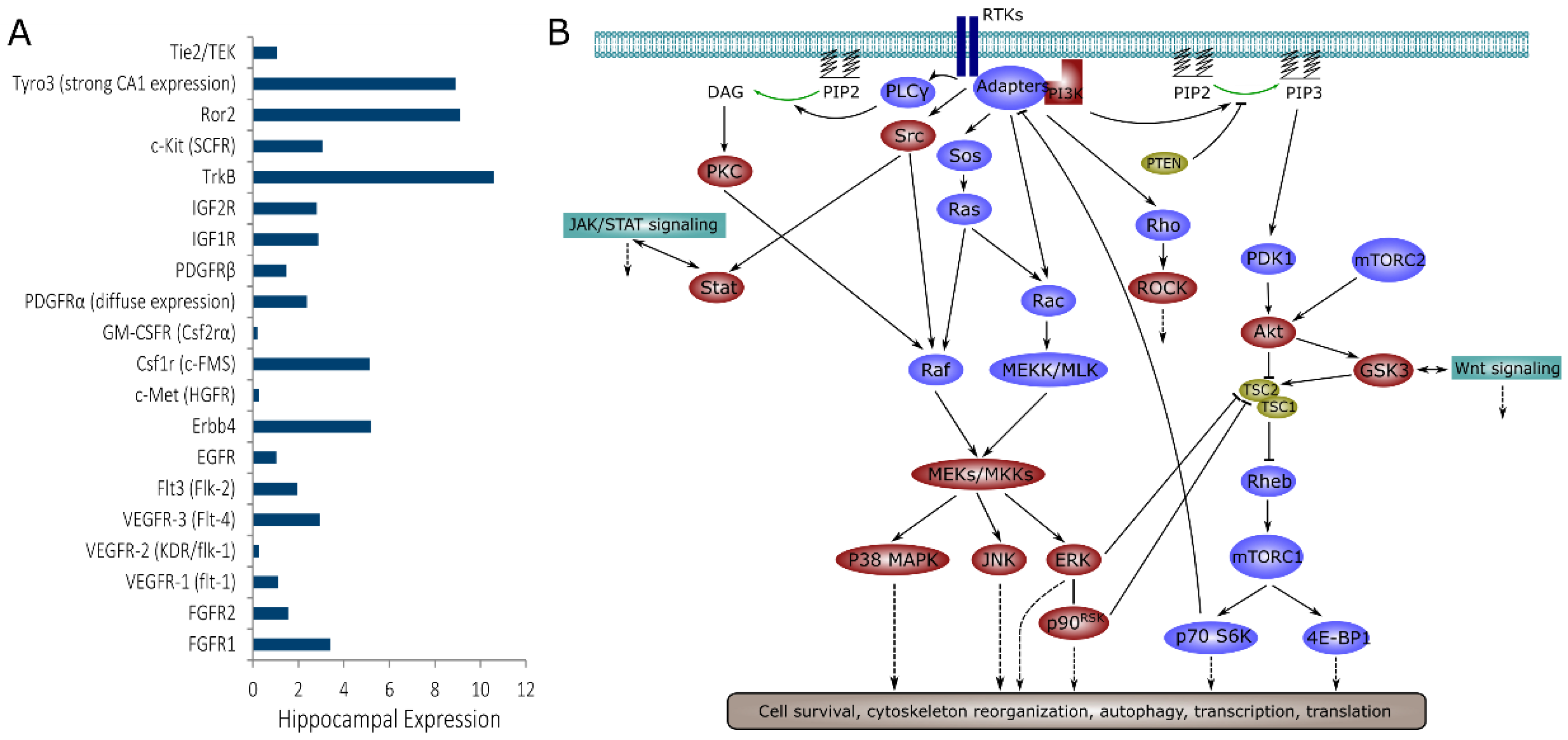 Ijms 20 02502 g001 Ijms 20 02502 g001