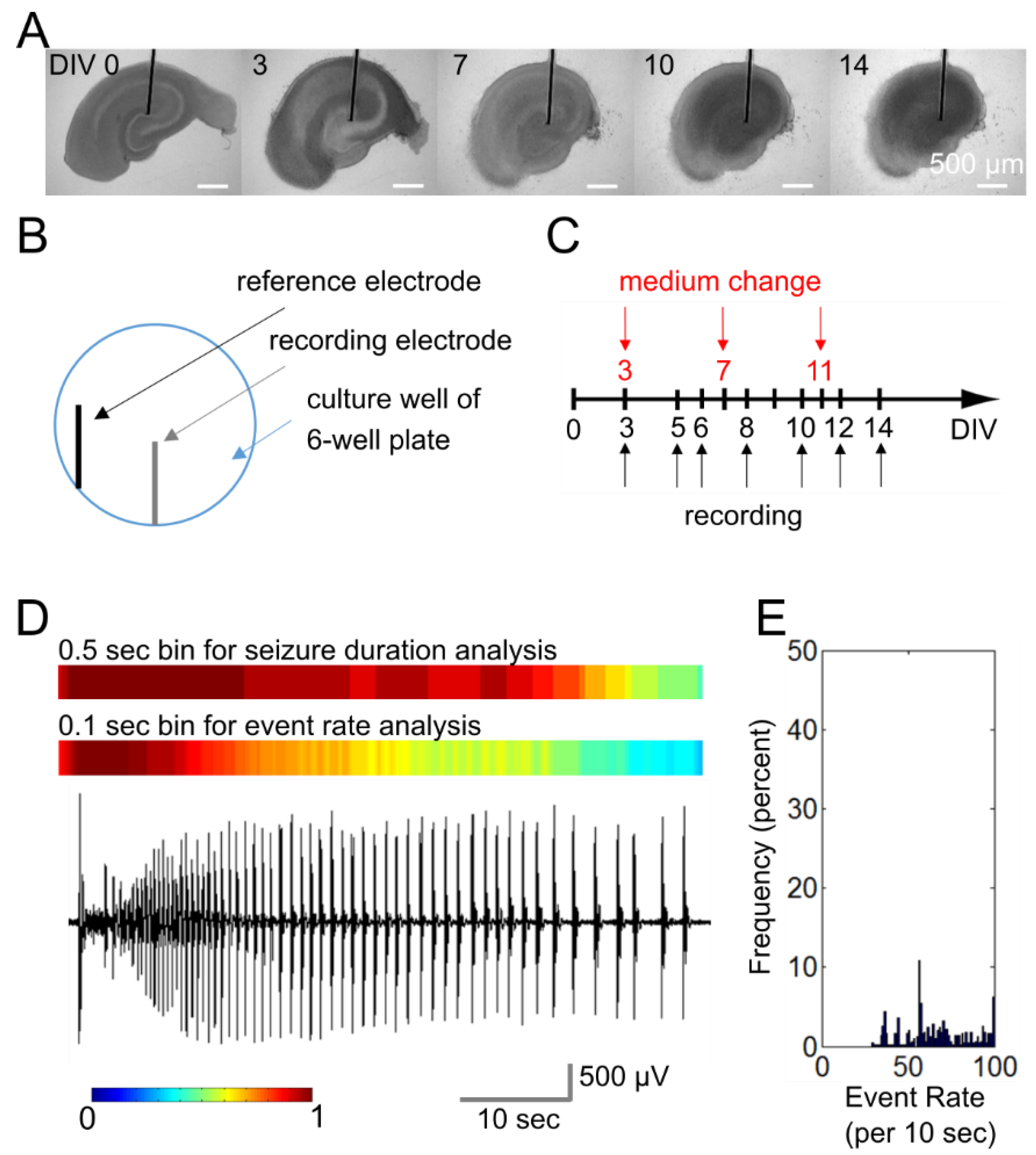 Ijms 20 02502 g002 Ijms 20 02502 g002