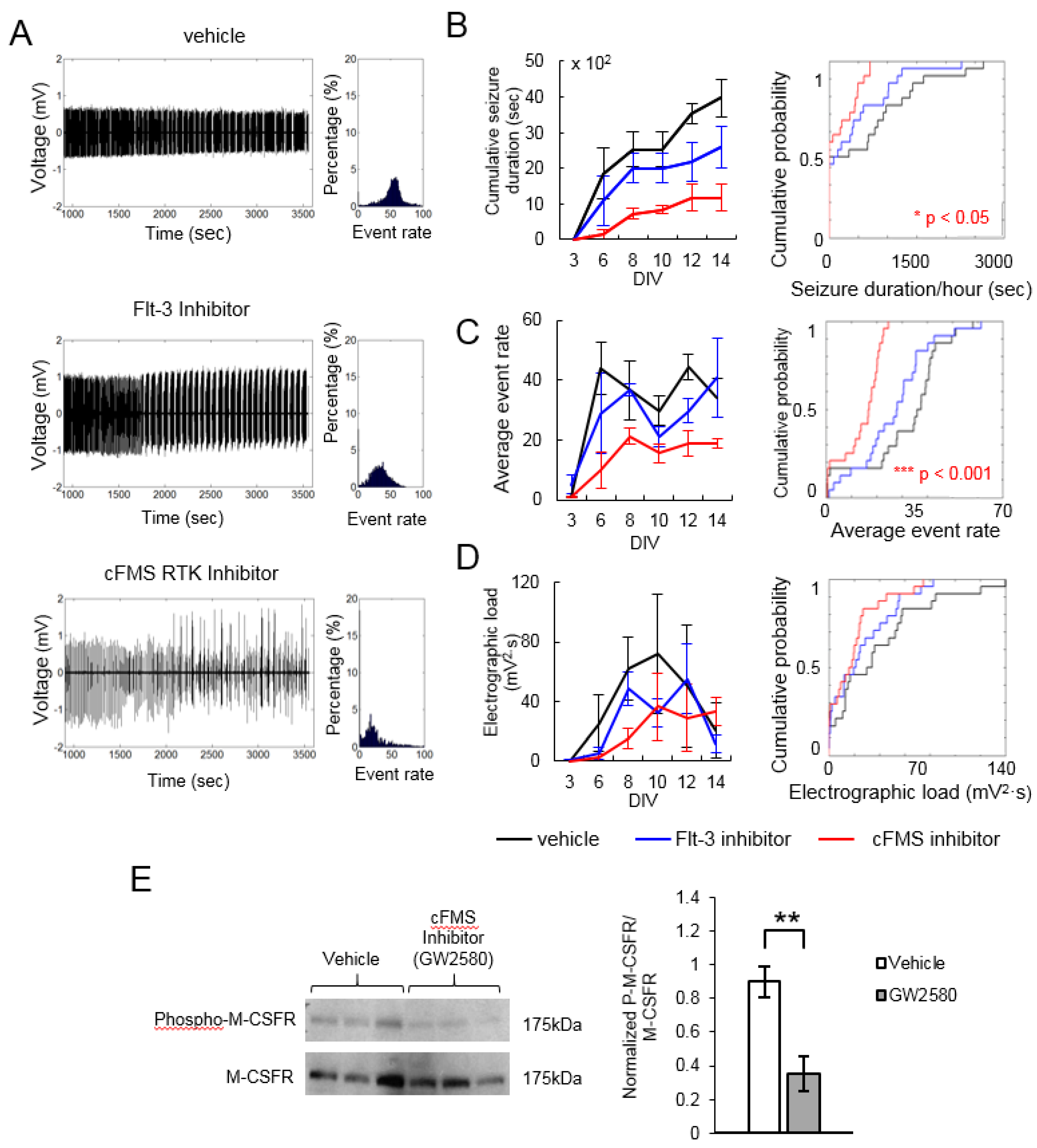Ijms 20 02502 g003 Ijms 20 02502 g003