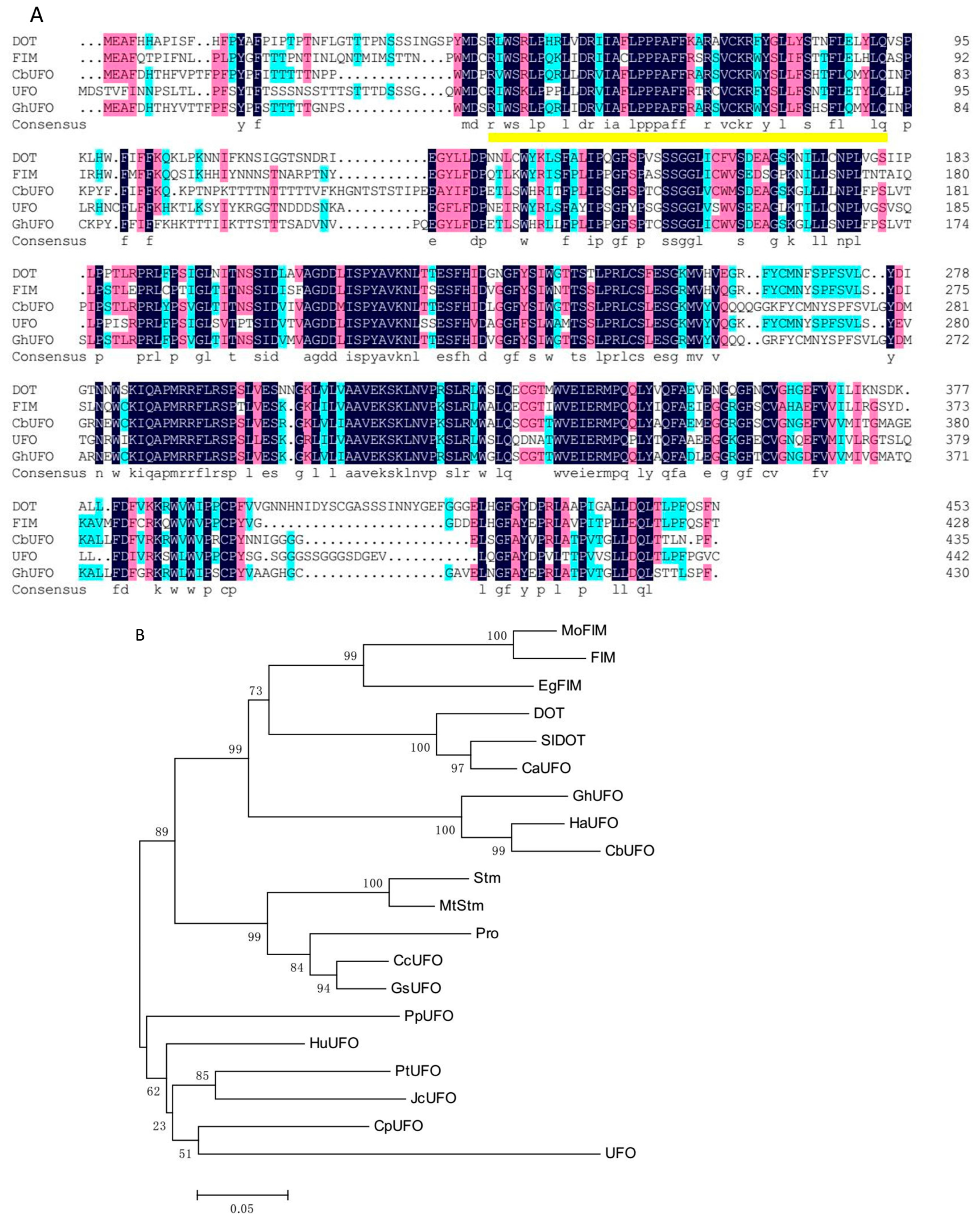 Ijms 20 02503 g005