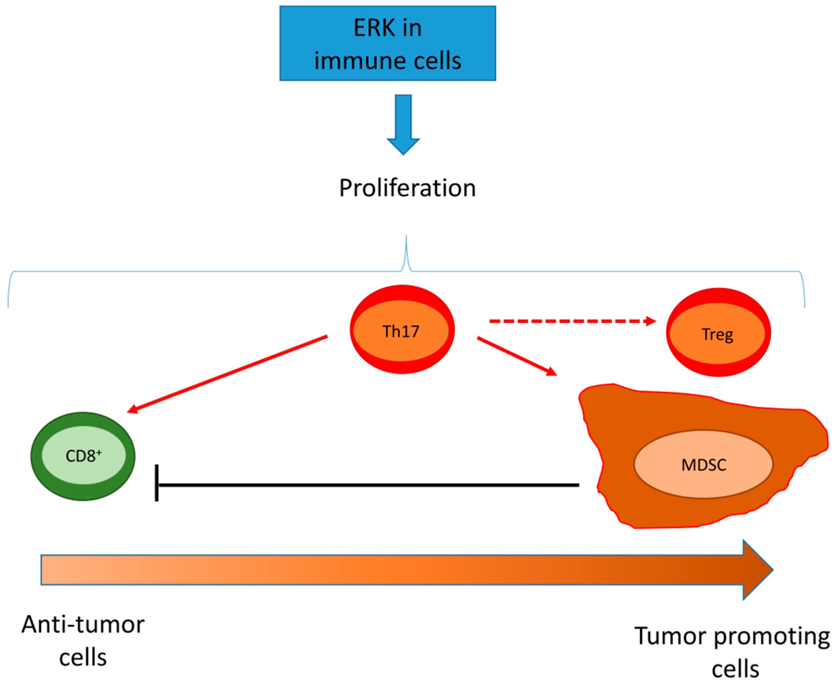Ijms 20 02505 g003 Ijms 20 02505 g003