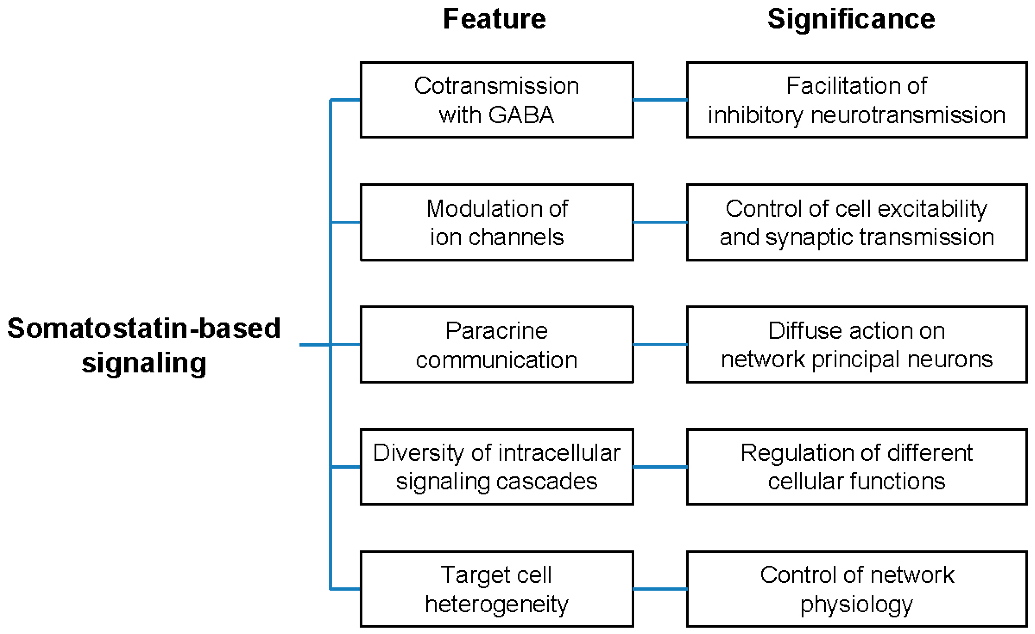 Molecular Network Identified Underlying >> Ijms Free Full Text Molecular And Cellular Mechanisms Underlying Molecular Network Identified Underlying >> Ijms Free Full Text Molecular And Cellular Mechanisms Underlying