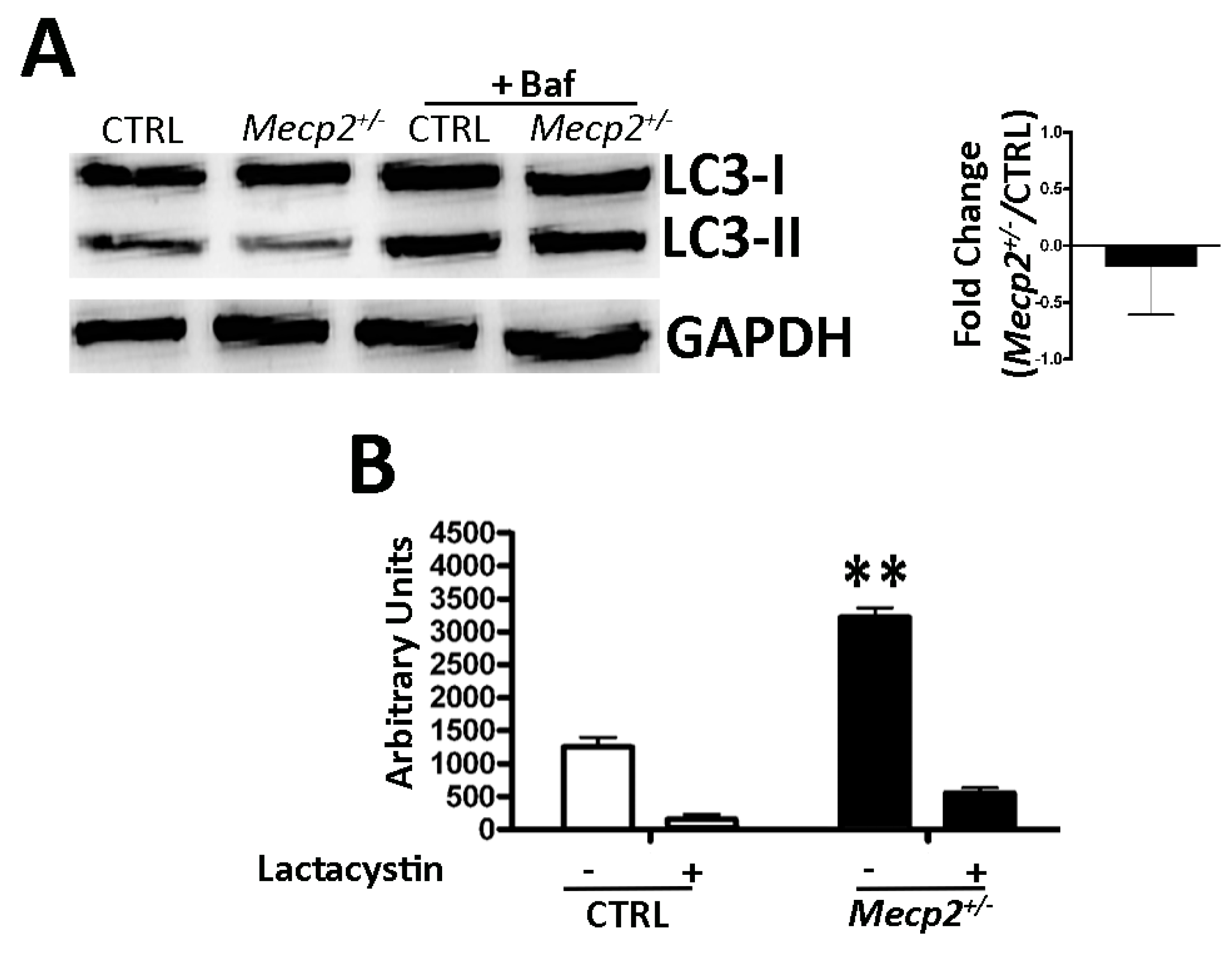 Ijms 20 02508 g004