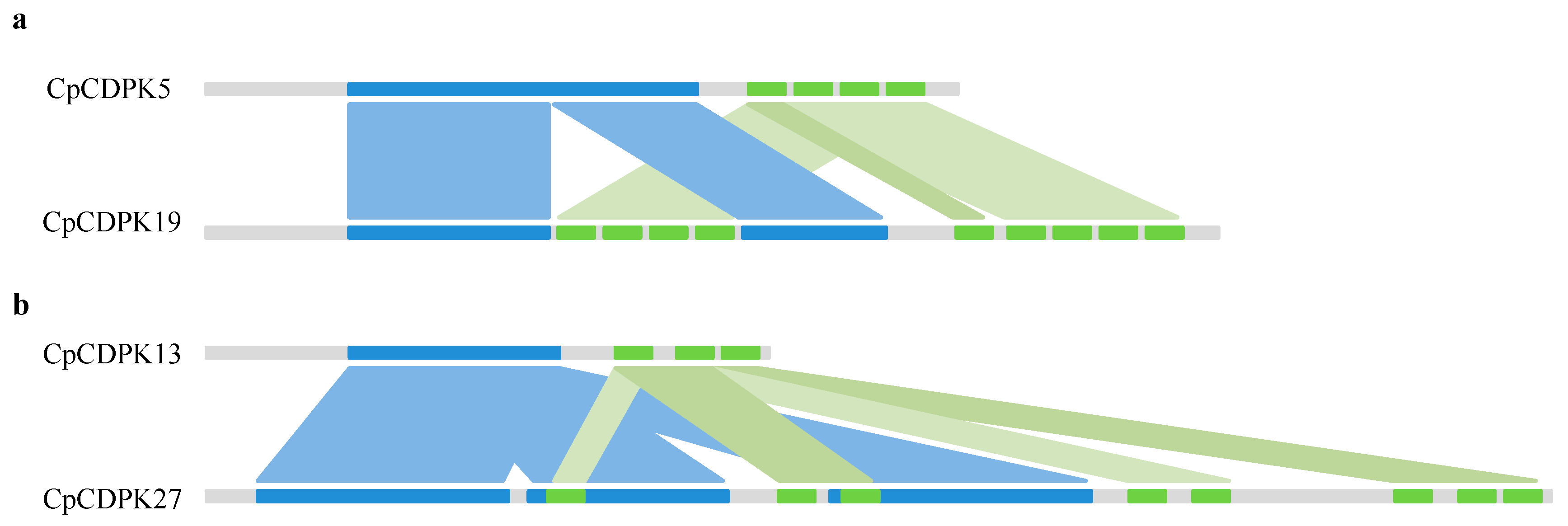 Ijms 20 02527 g001 Ijms 20 02527 g001