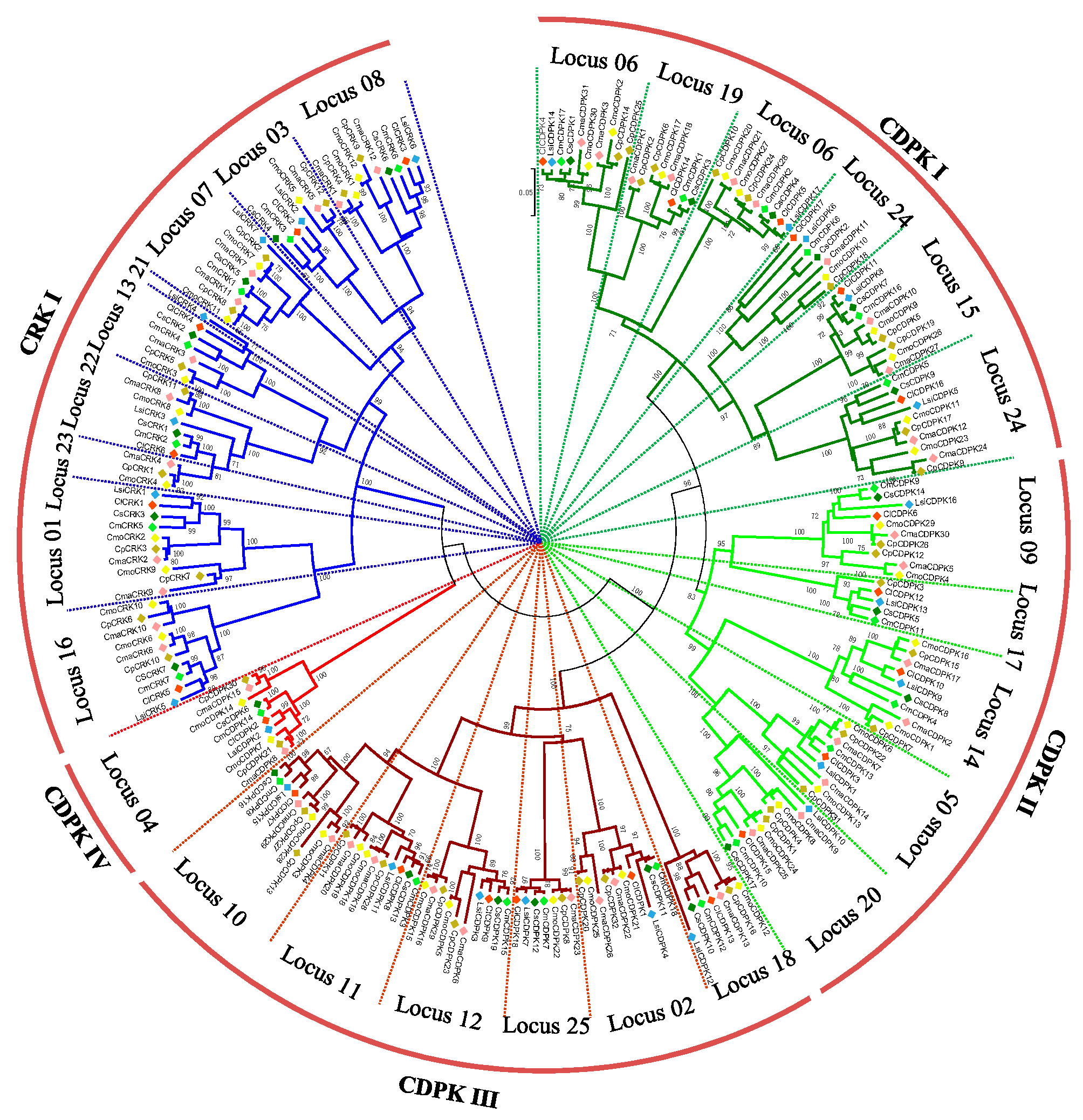 Ijms 20 02527 g003 Ijms 20 02527 g003