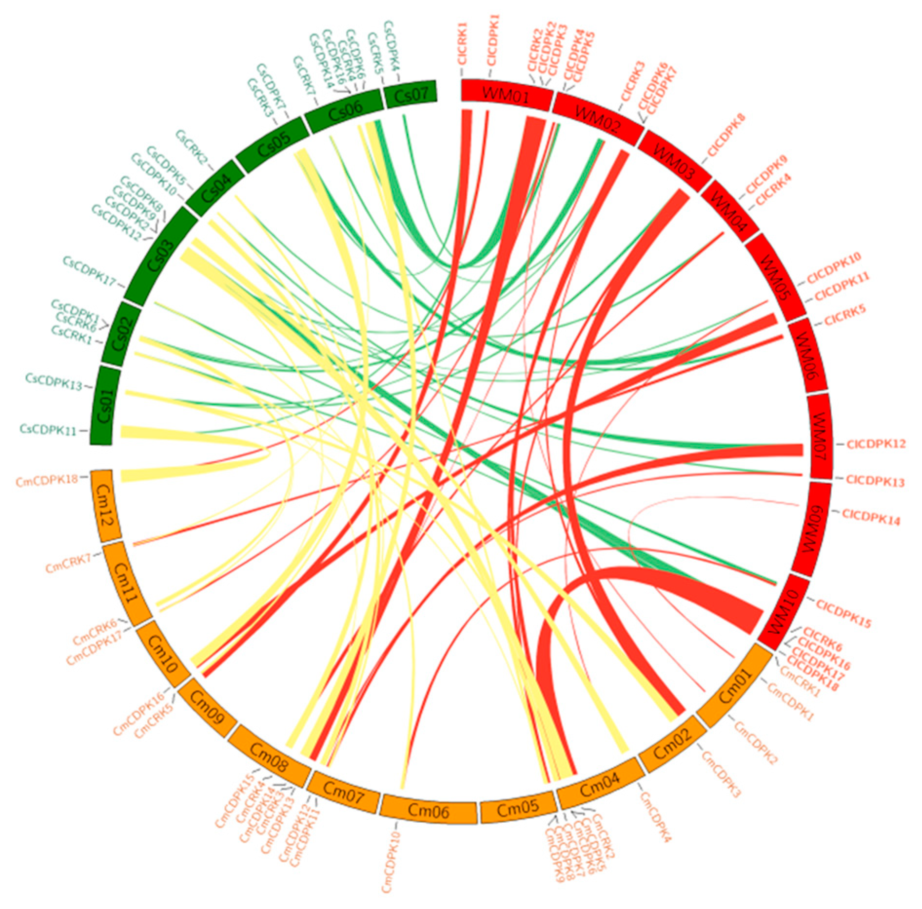 Ijms 20 02527 g004 Ijms 20 02527 g004