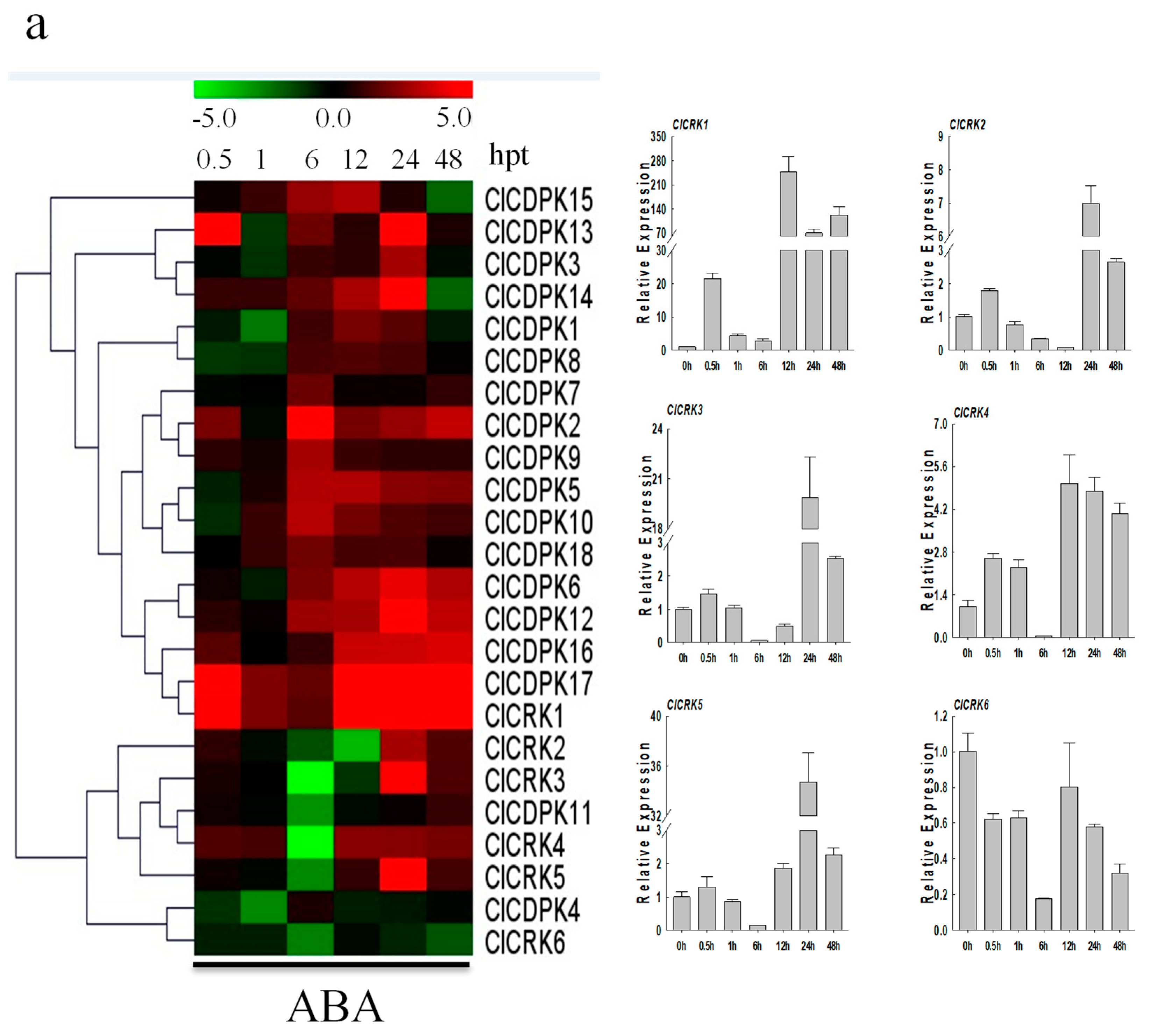 Ijms 20 02527 g007a Ijms 20 02527 g007a