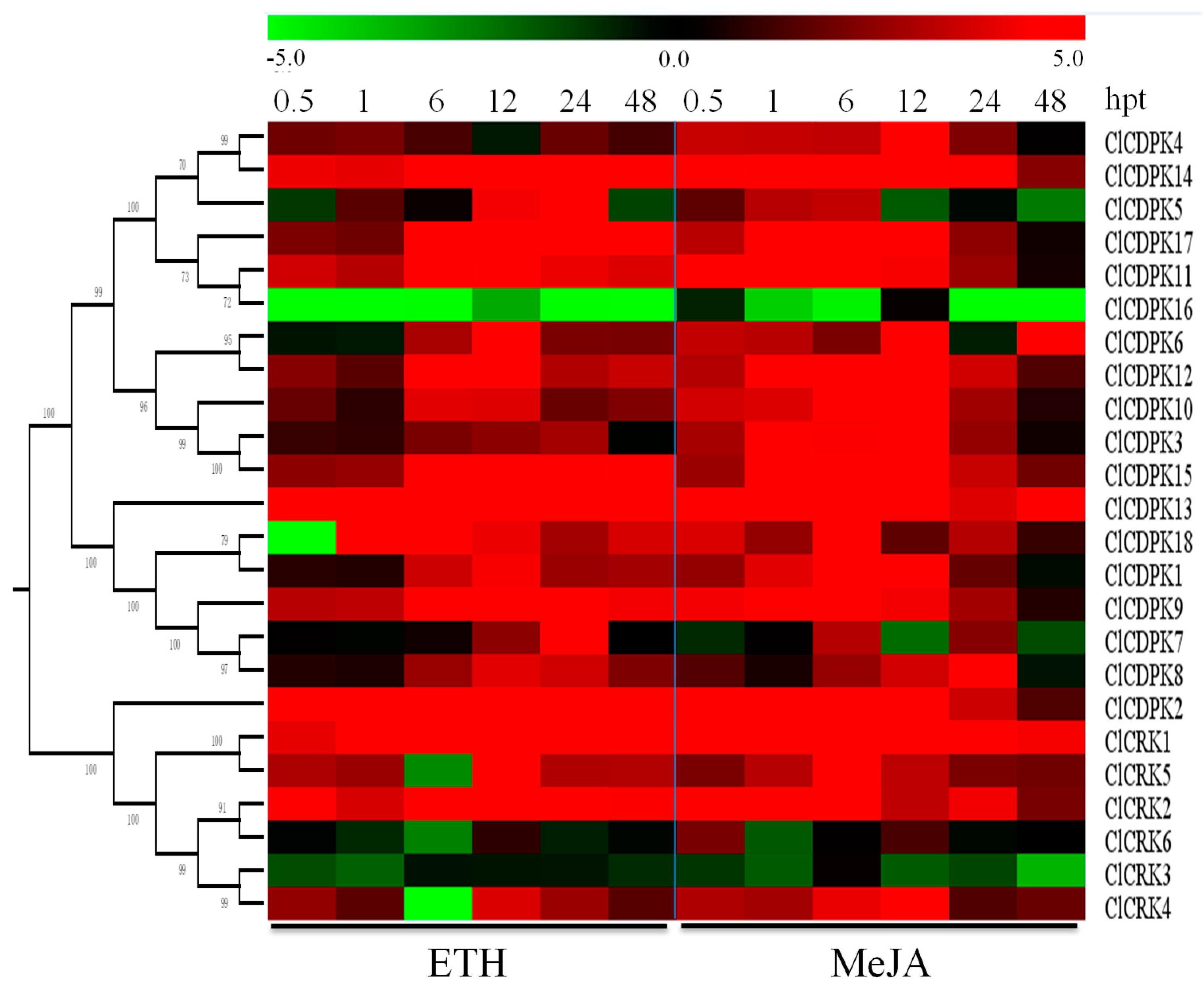Ijms 20 02527 g008 Ijms 20 02527 g008