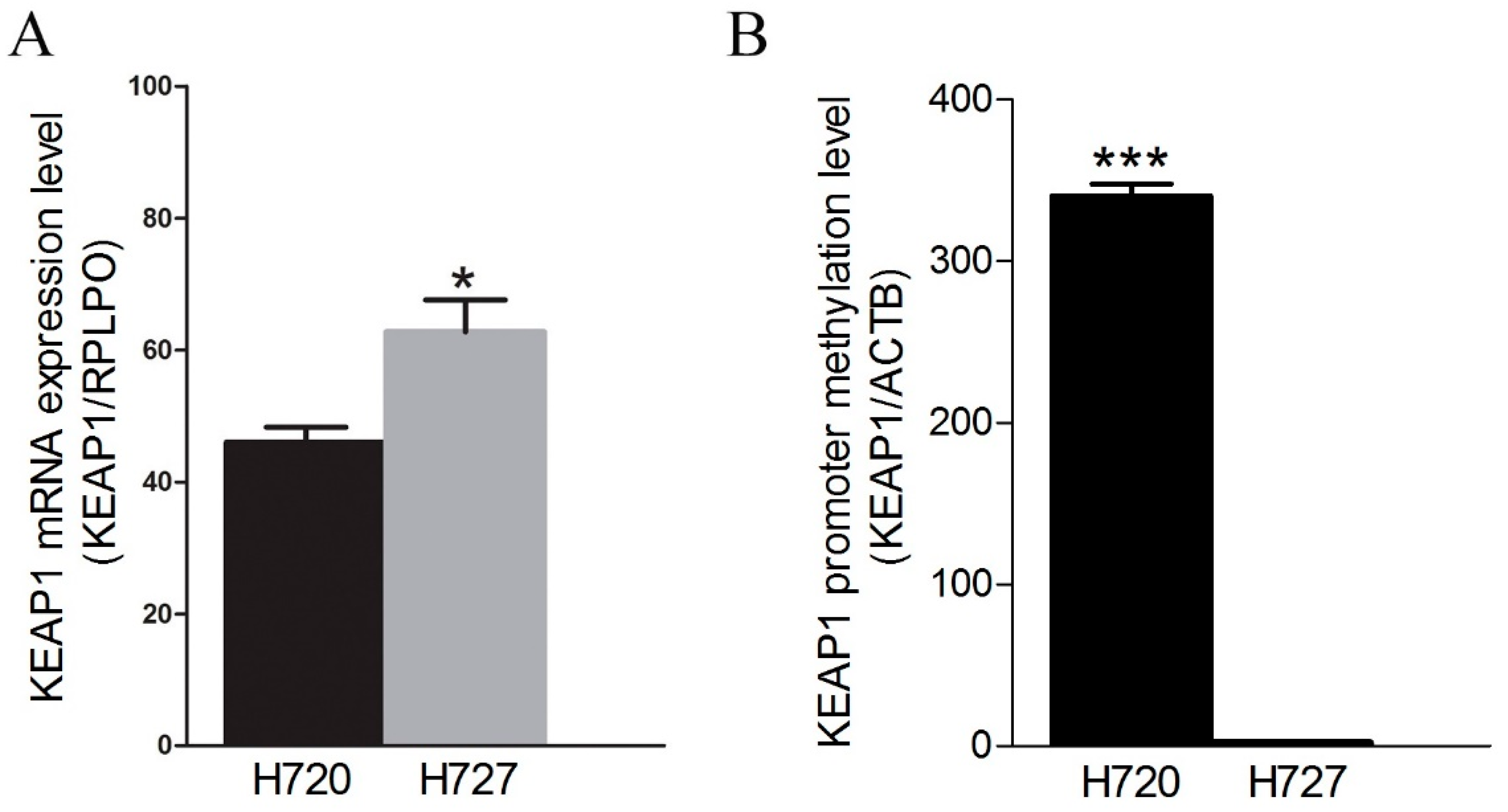 Ijms 20 02531 g002 Ijms 20 02531 g002